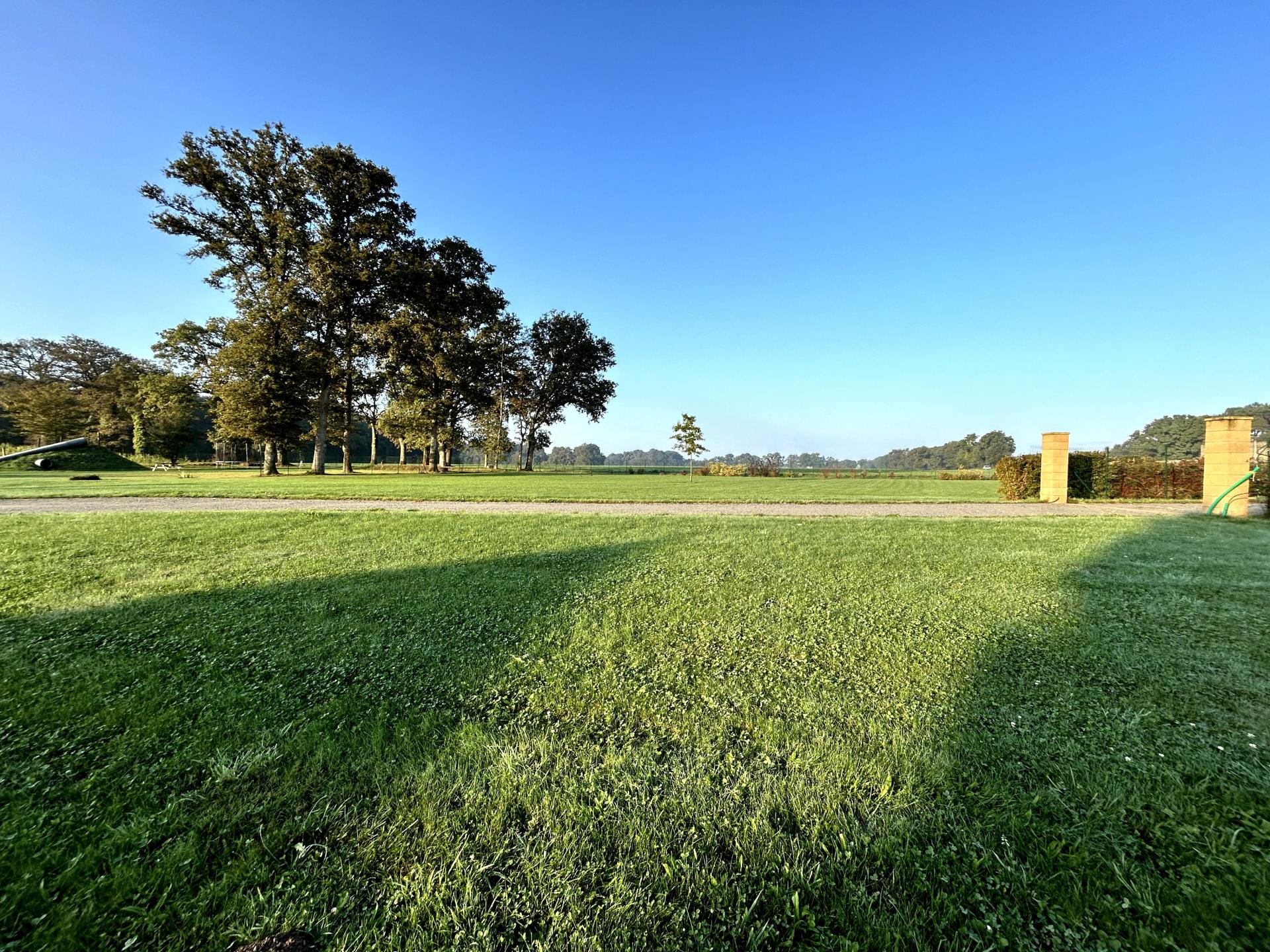 Photo 12 of the listing.