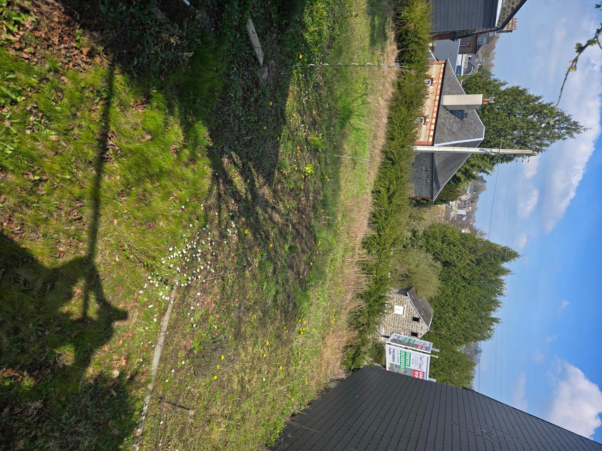 Photo-terrain
