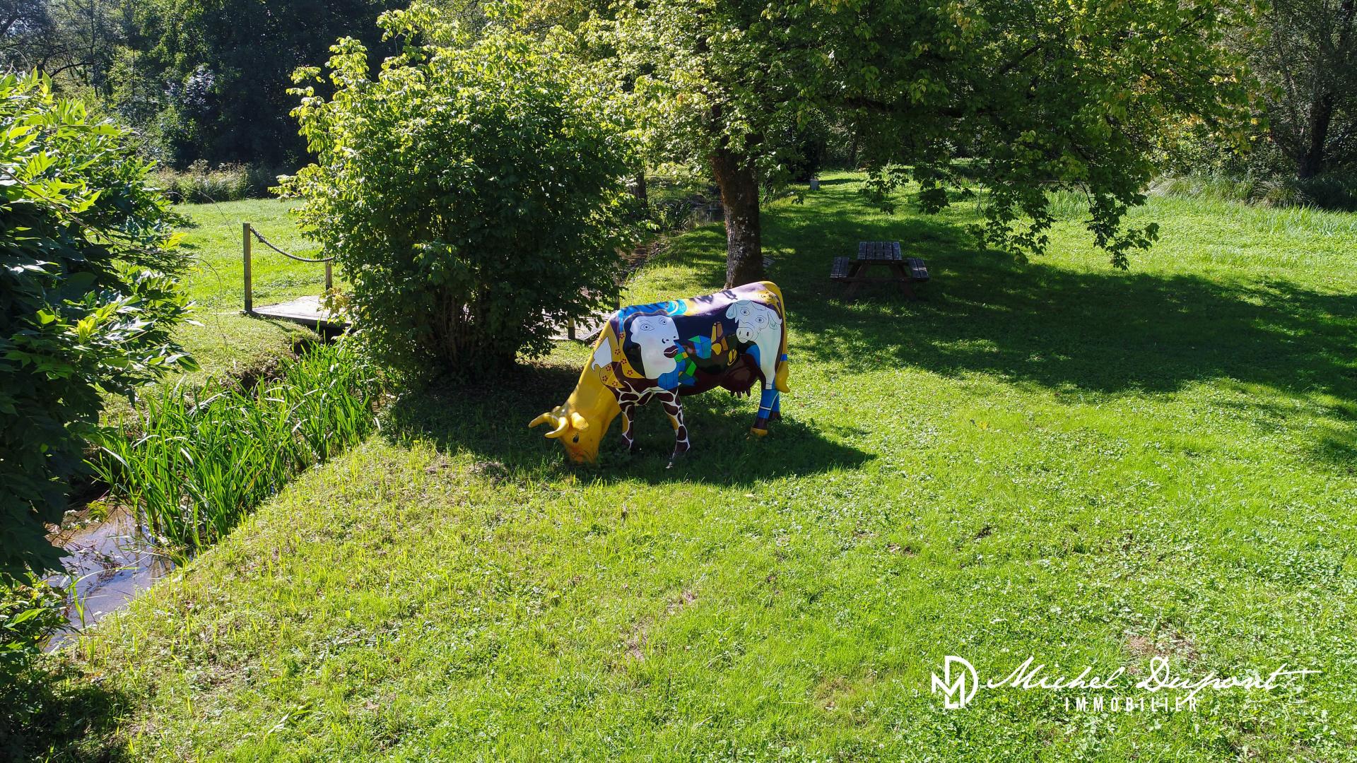 Photo 7 de l'annonce.