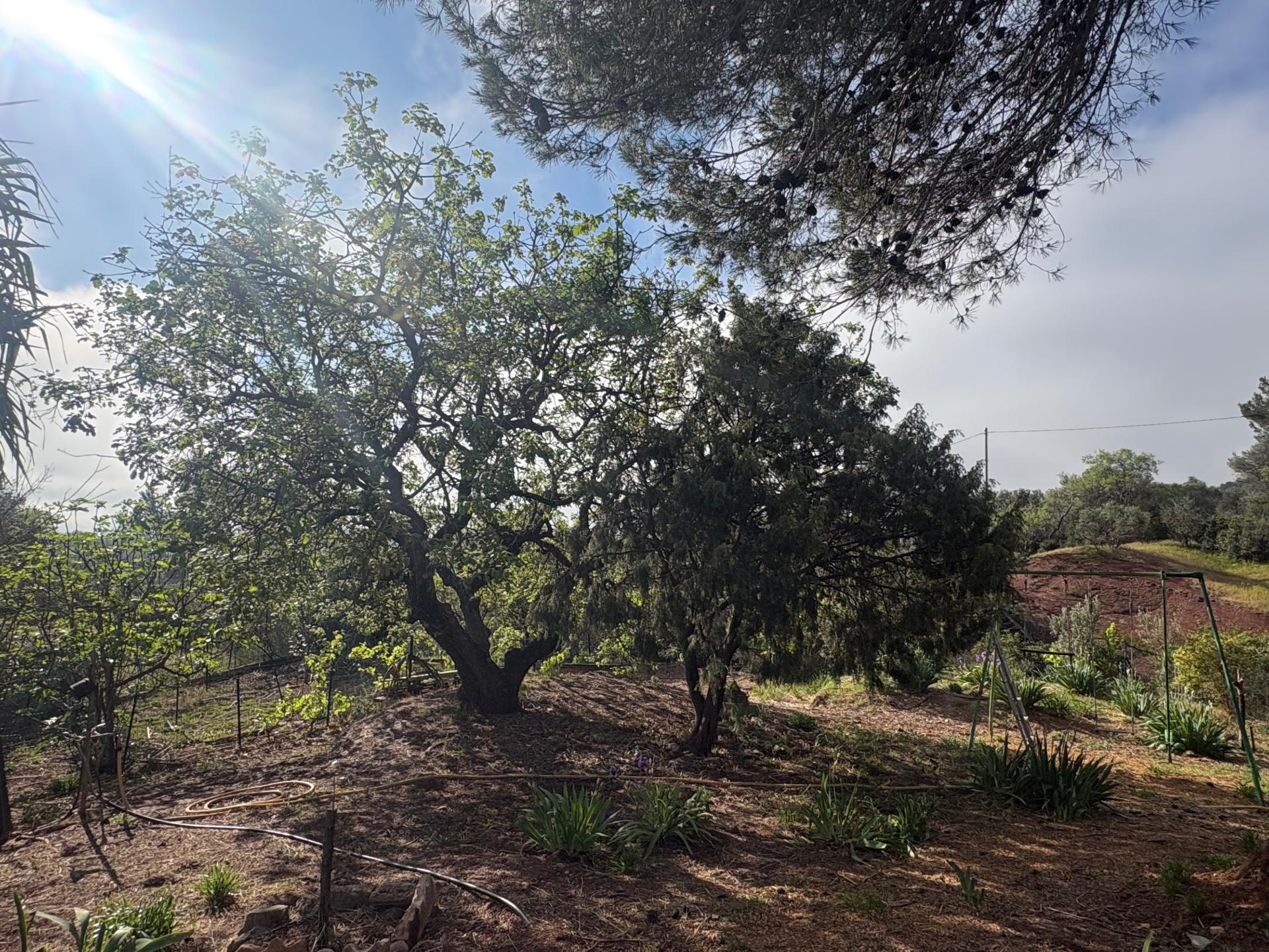 Photo 18 de l'annonce.