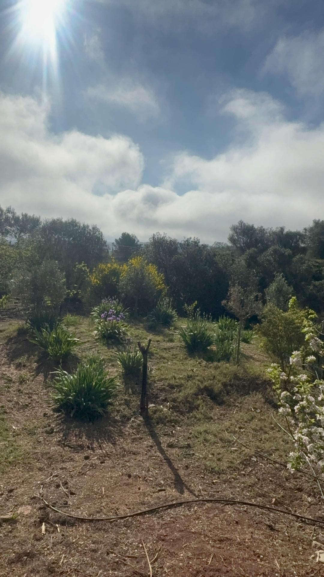 Photo 17 de l'annonce.