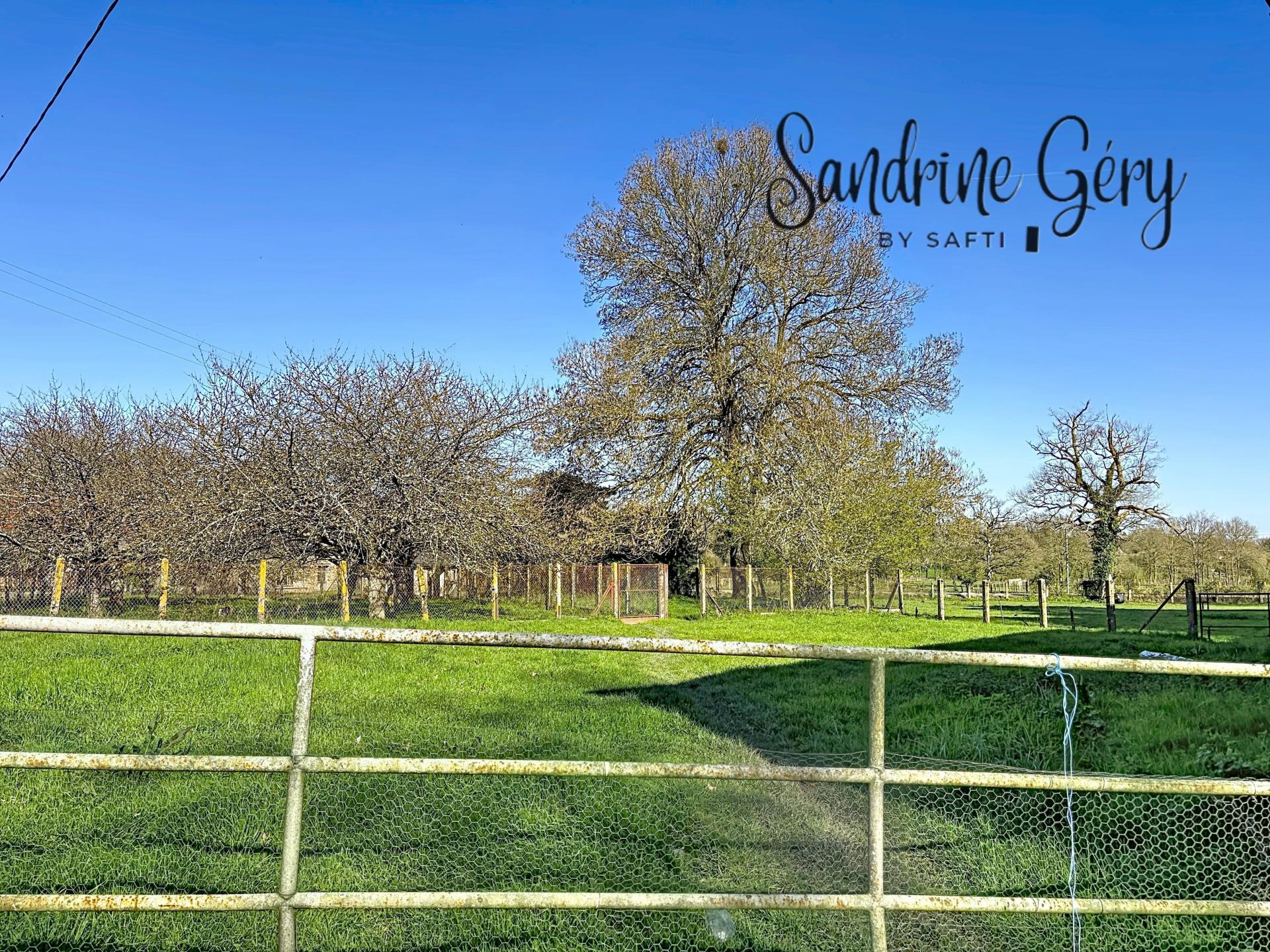 Photo 23 de l'annonce.