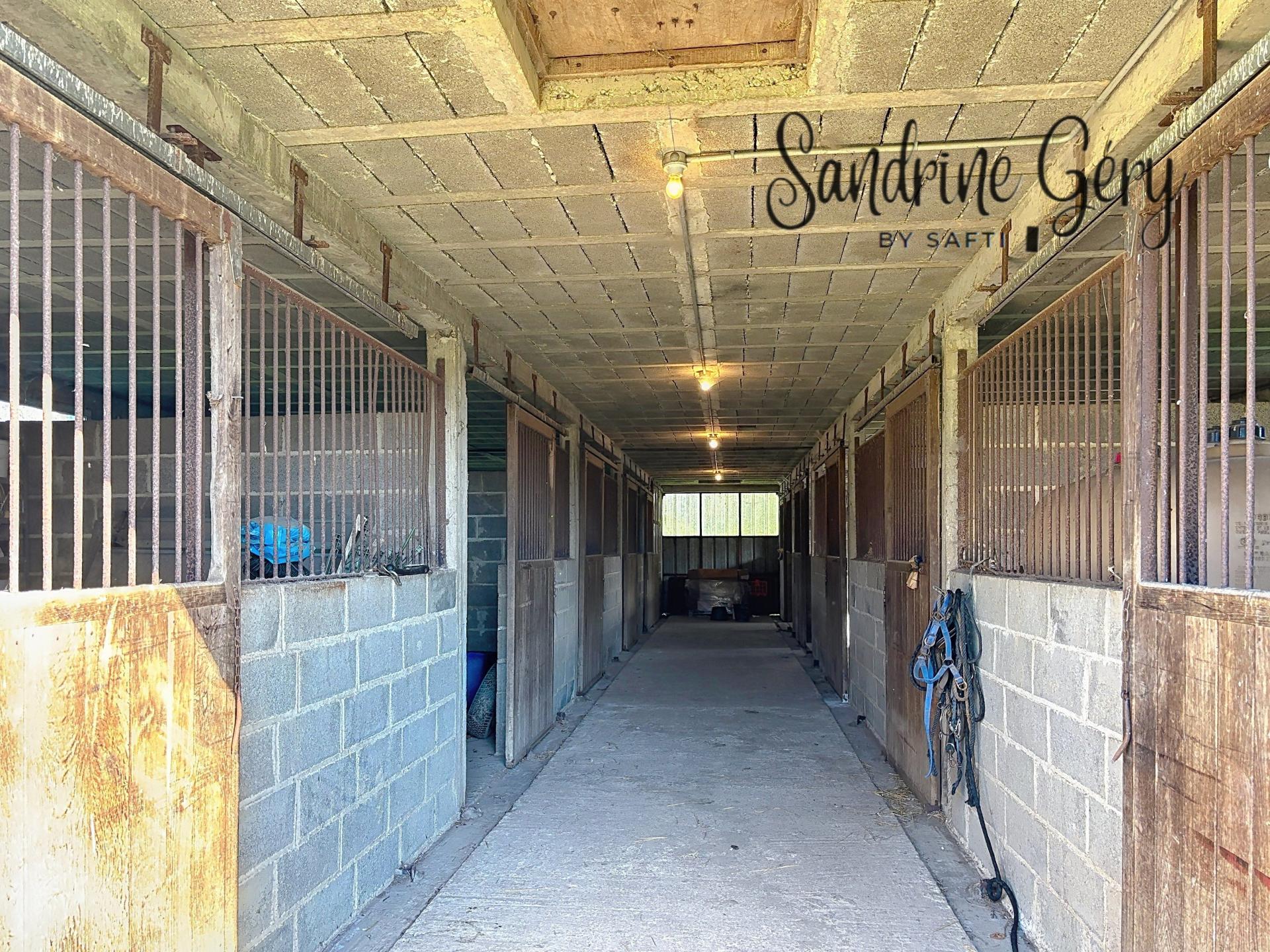 Photo 21 de l'annonce.