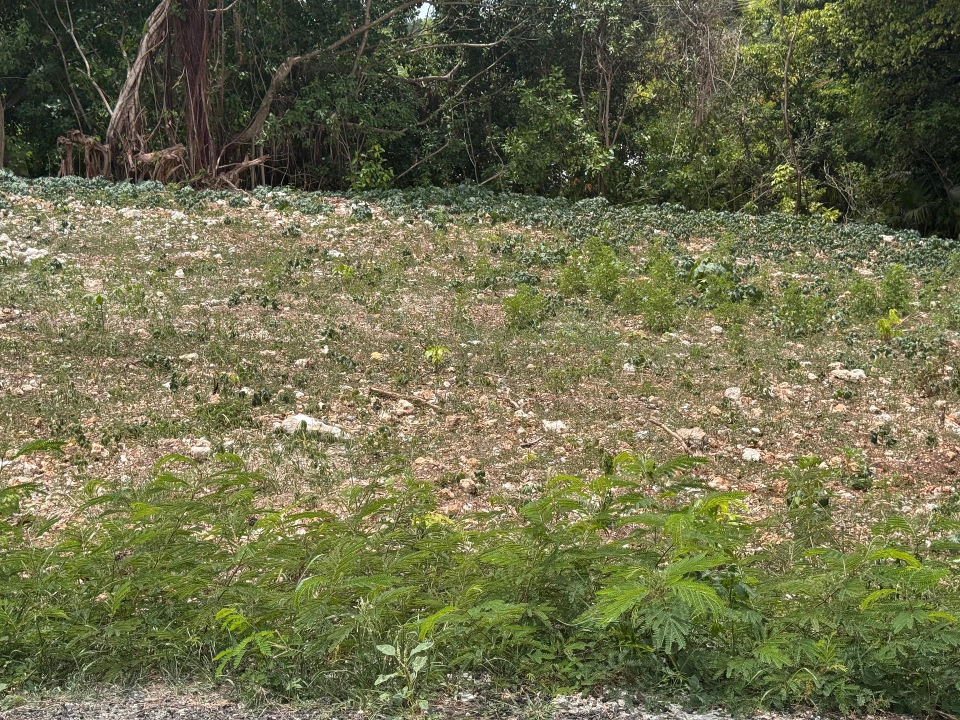 Photo-terrain