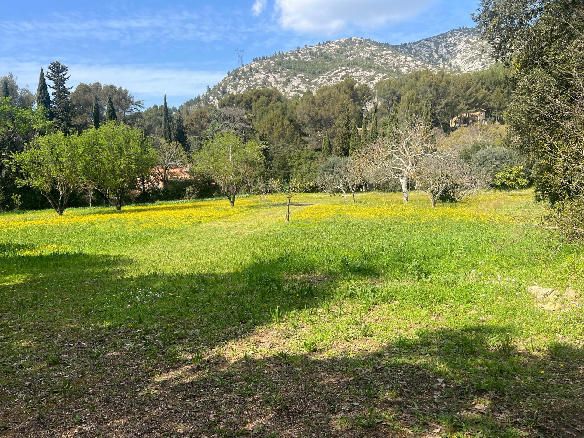 Photo 9 de l'annonce.