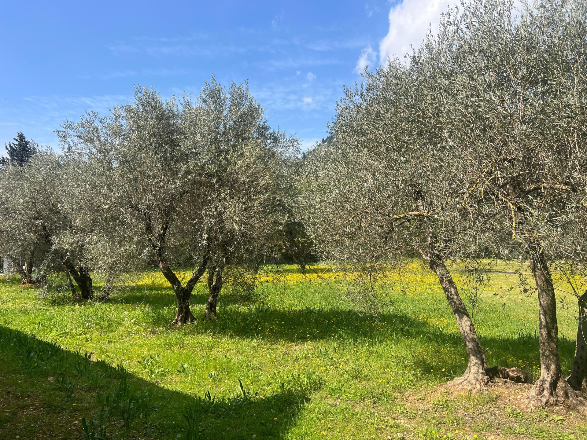 Photo 8 de l'annonce.