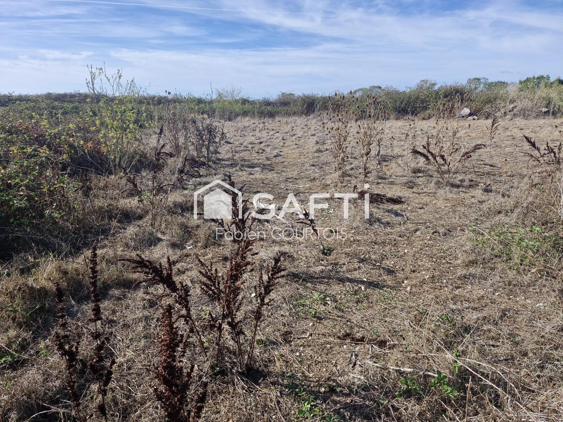 Photo-terrain
