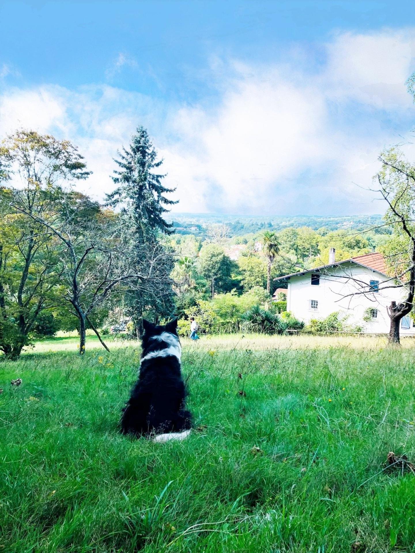 Photo 14 de l'annonce.