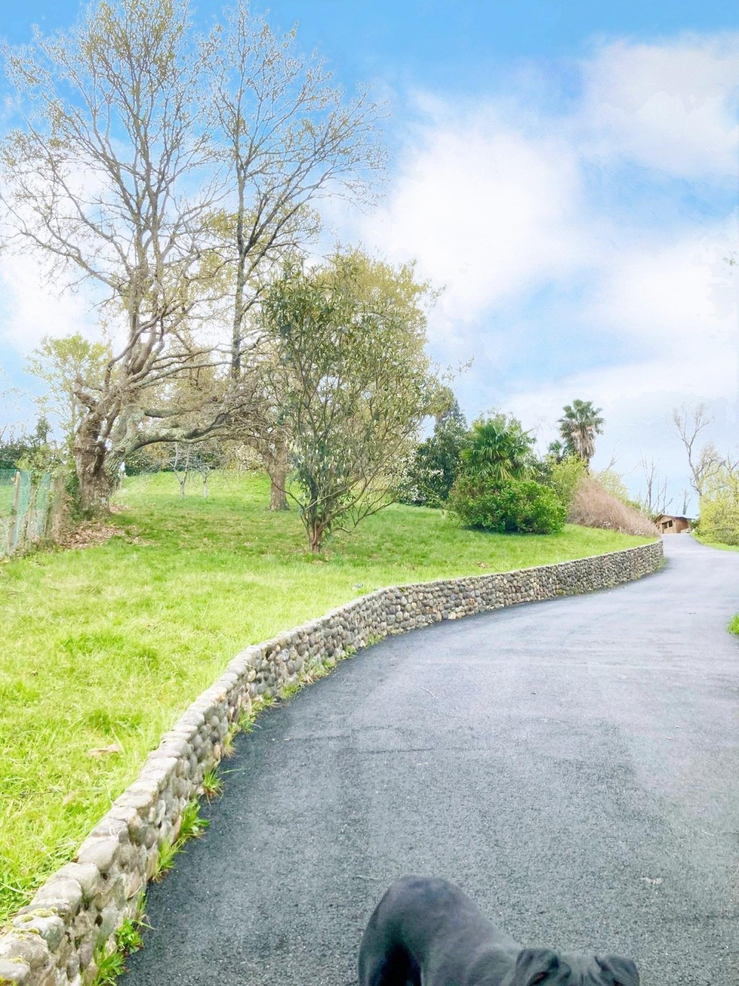 Photo 12 de l'annonce.