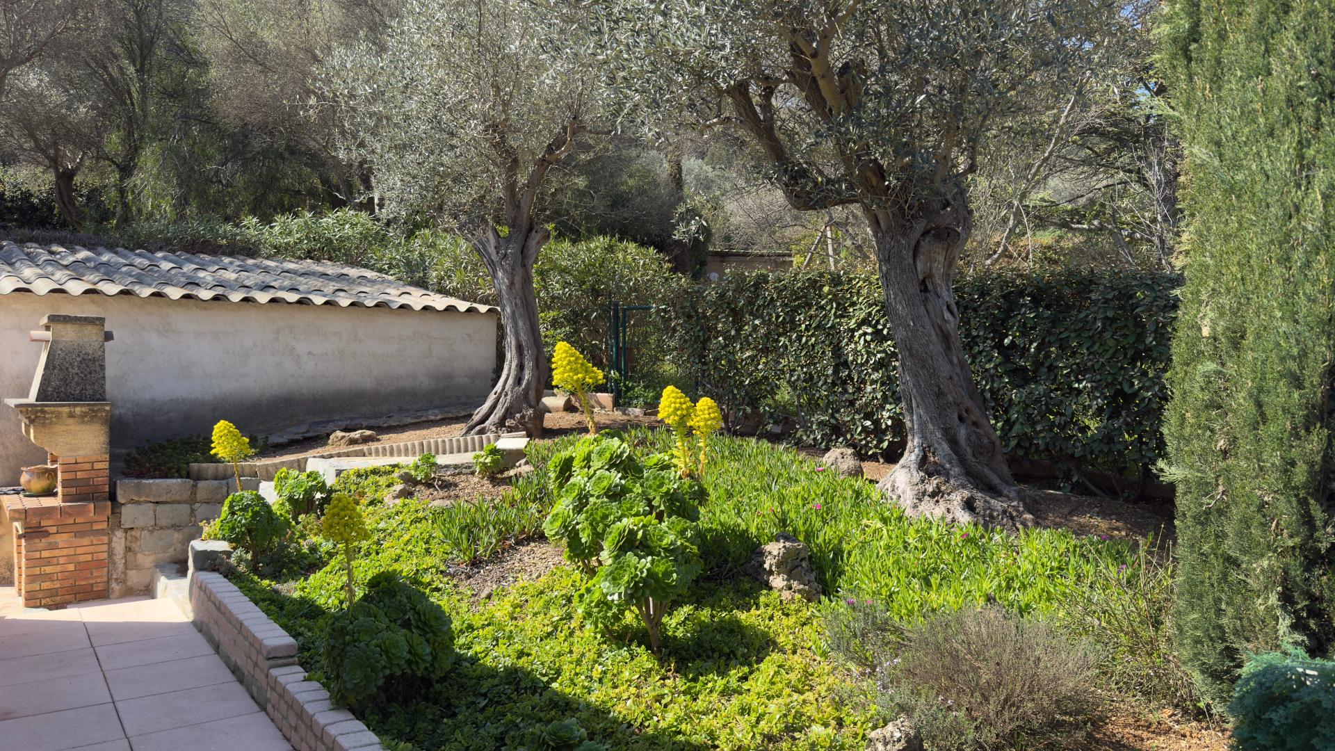 Foto 19 del anuncio.