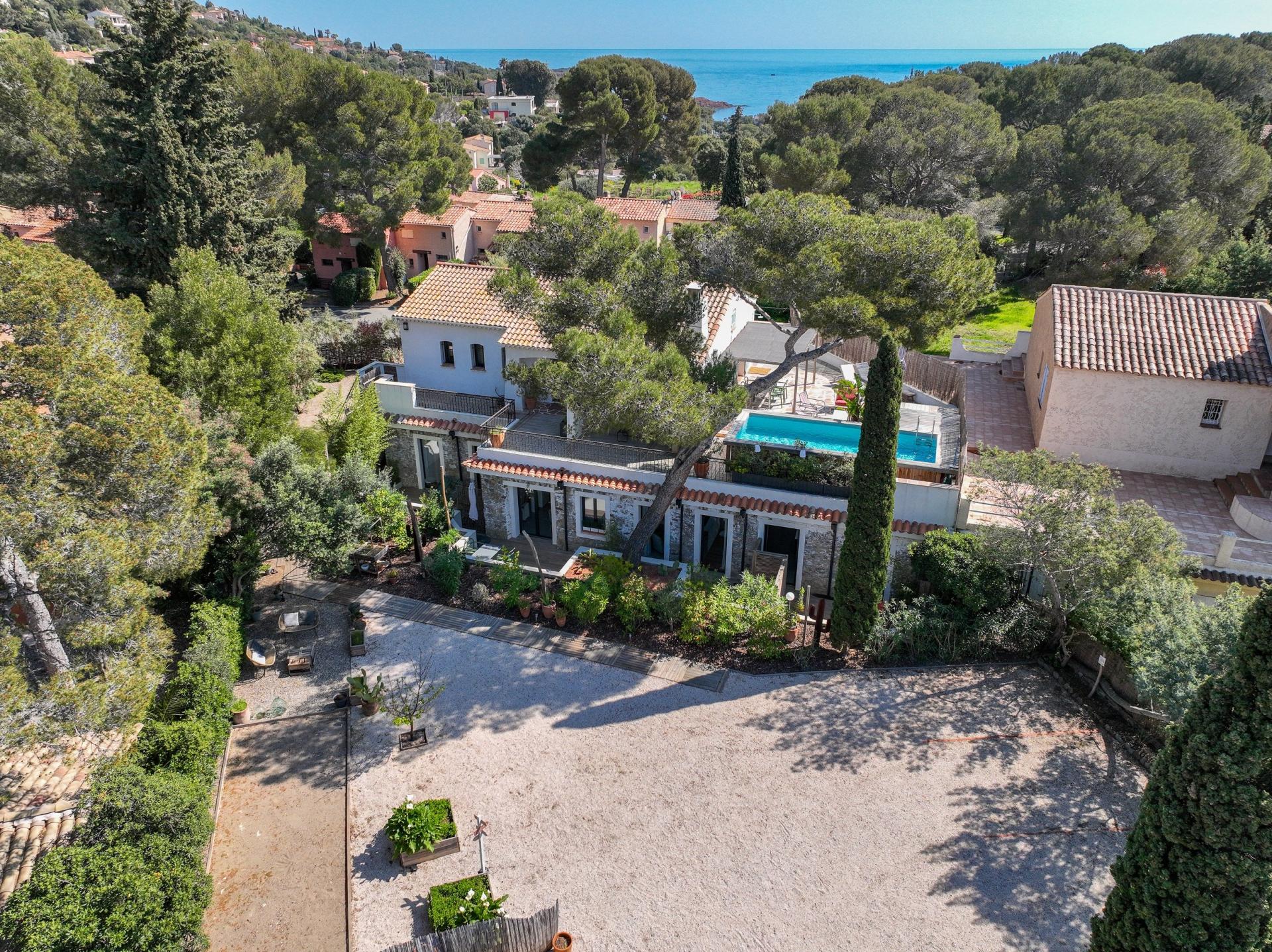 Photo 3 de l'annonce.