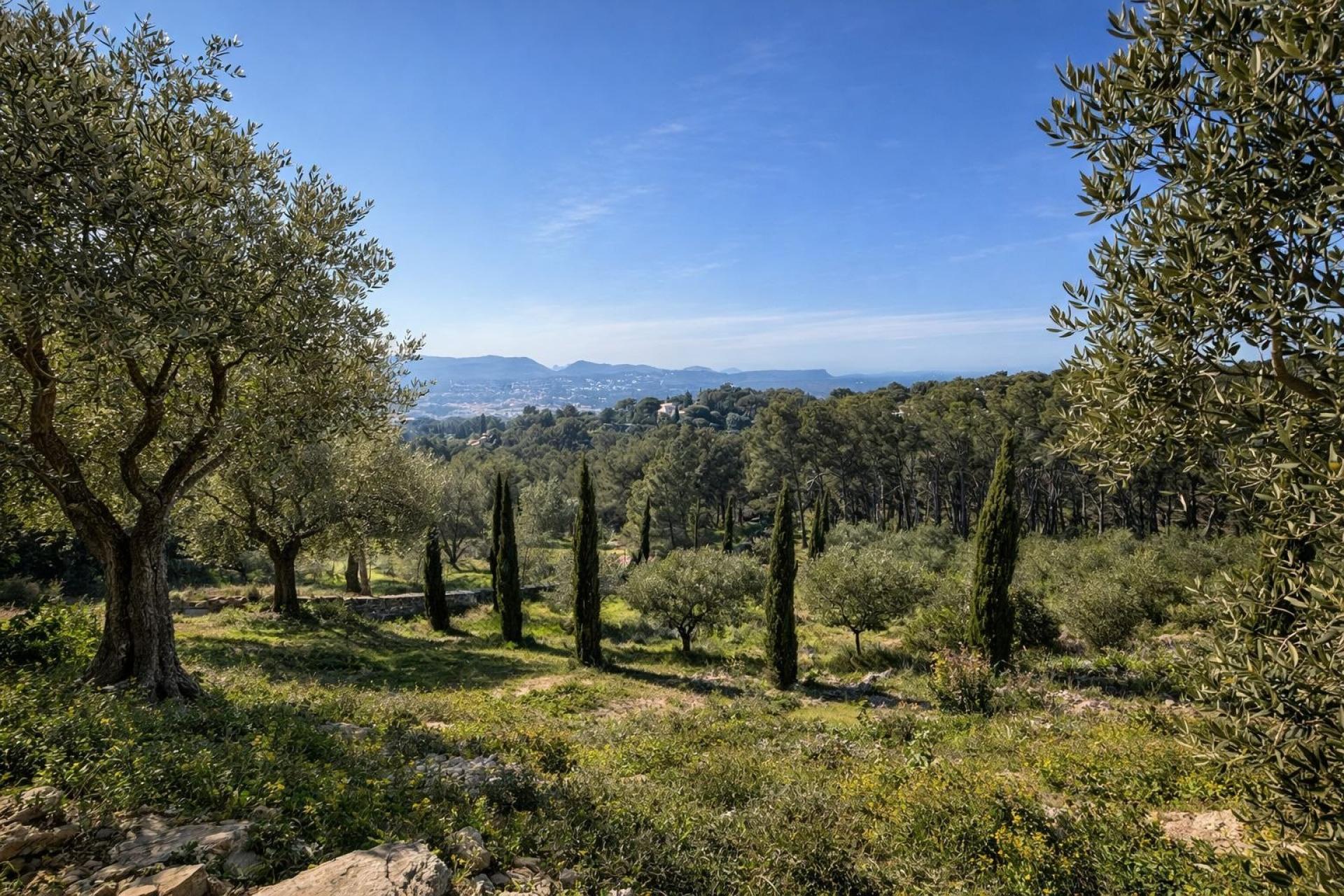 Photo 16 of the listing.