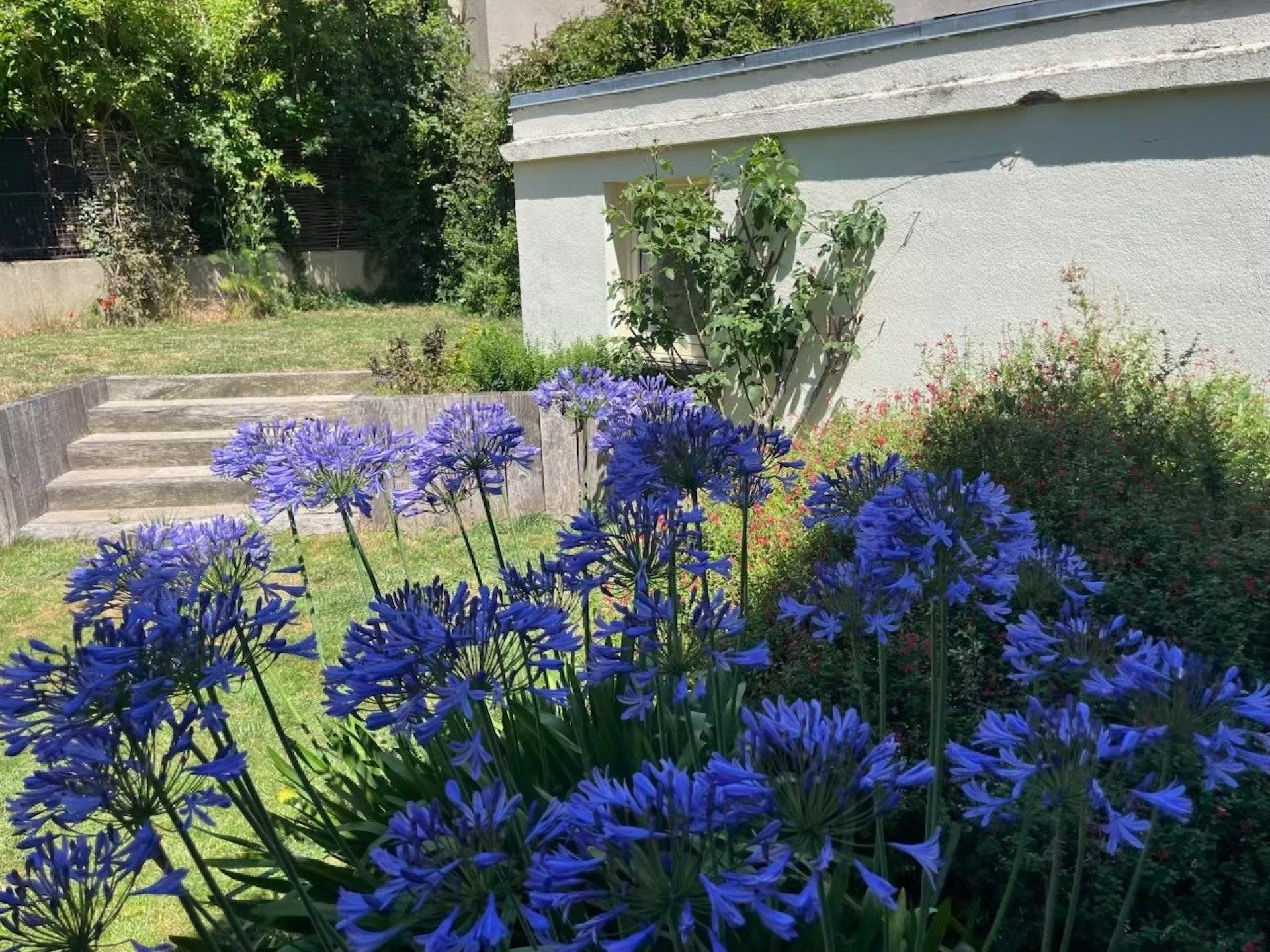 Foto 14 del anuncio.