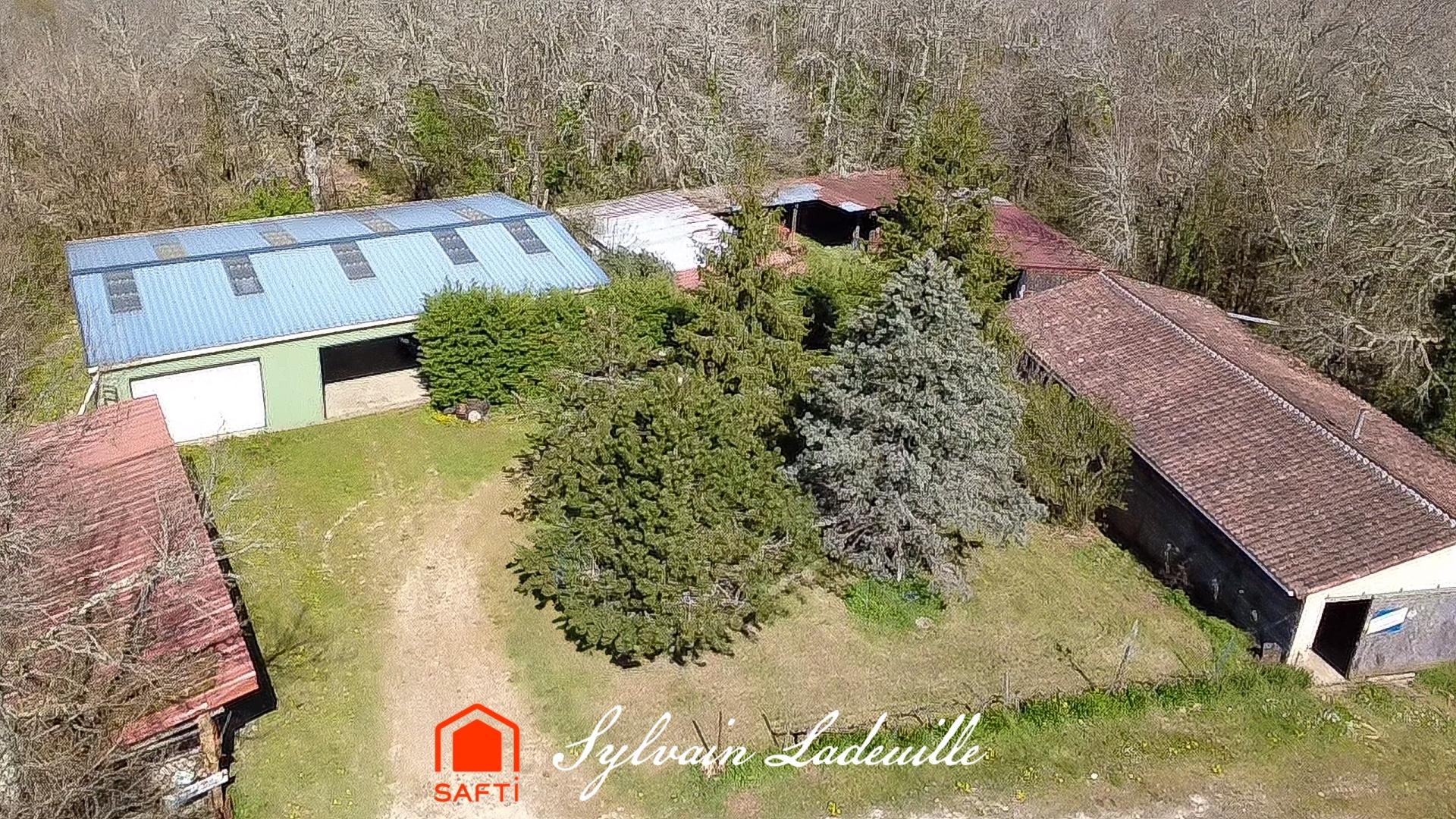 Photo 11 de l'annonce.