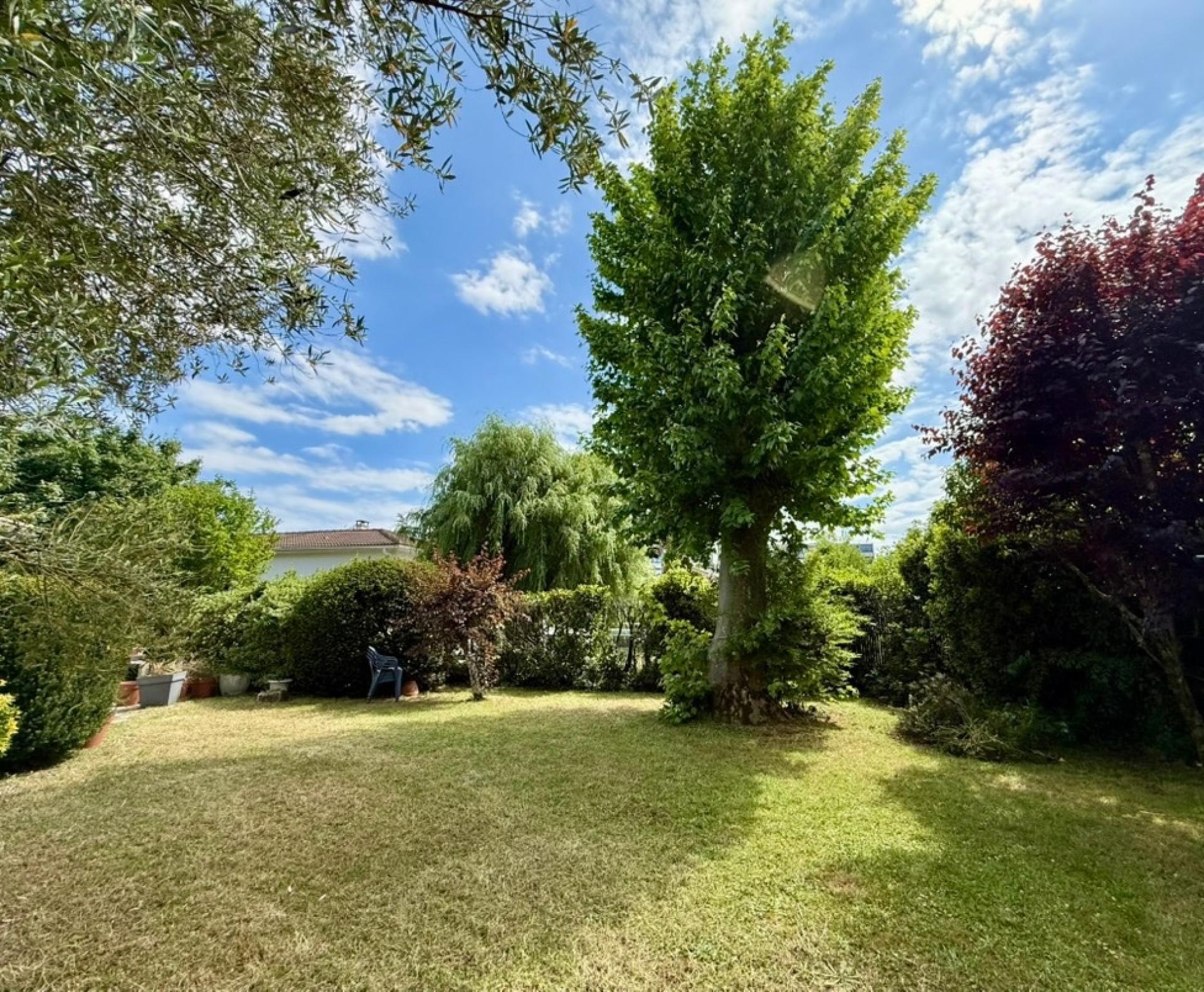 Photo 2 de l'annonce.