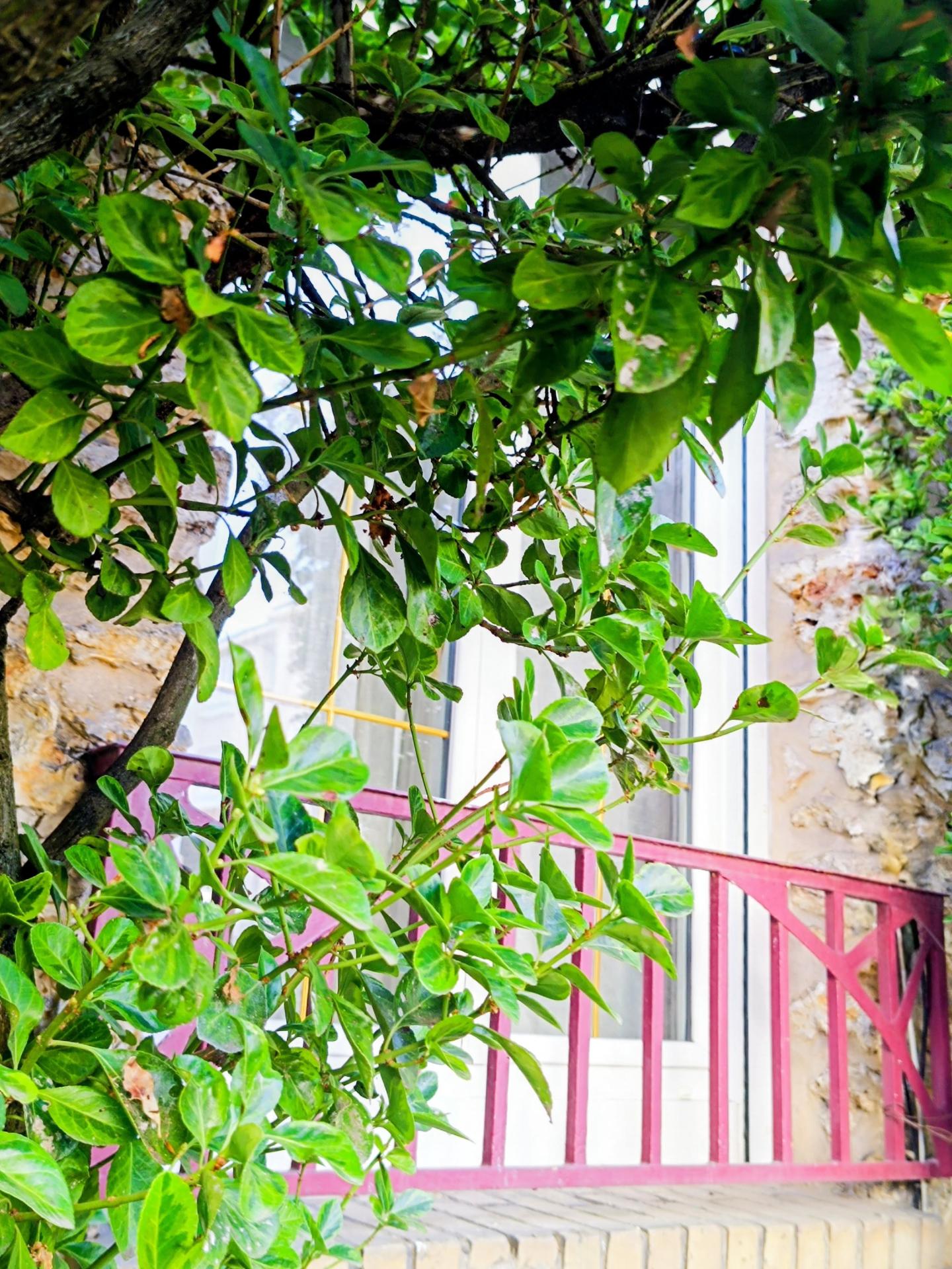 Photo-appartement