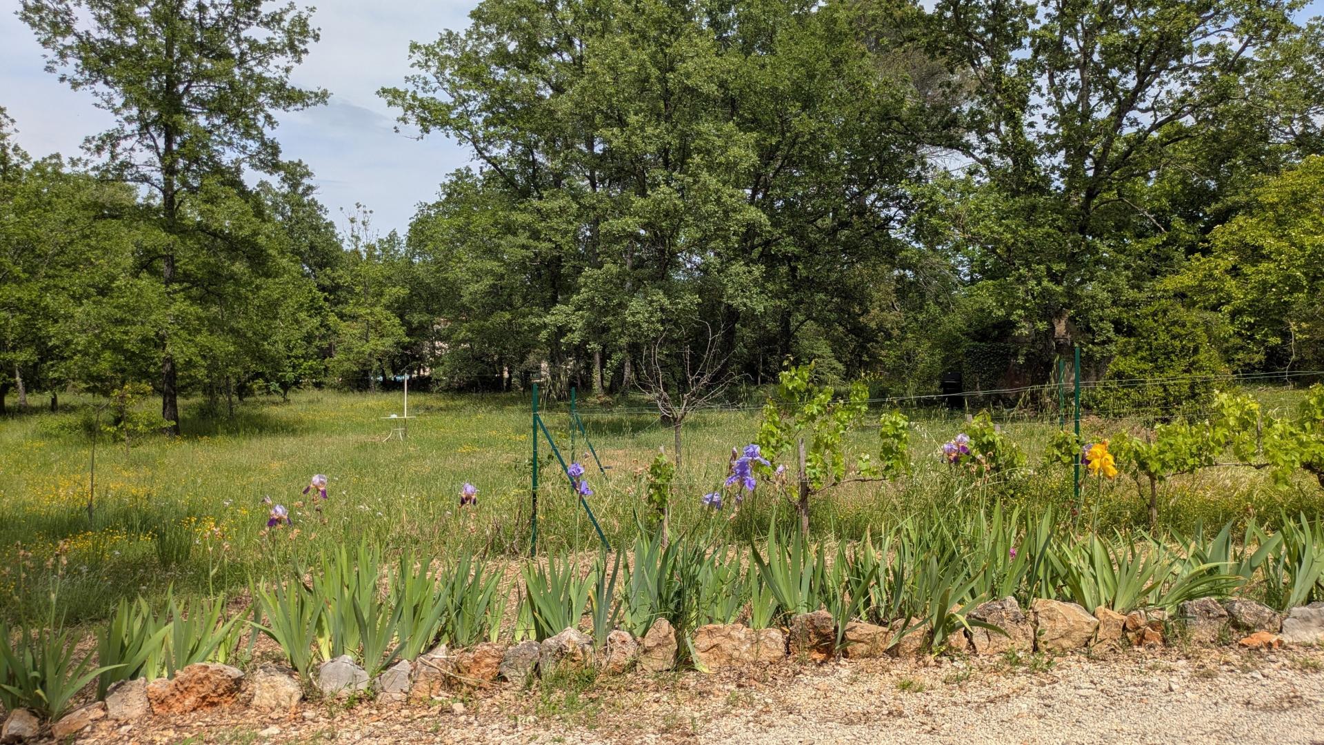 Photo 19 de l'annonce.