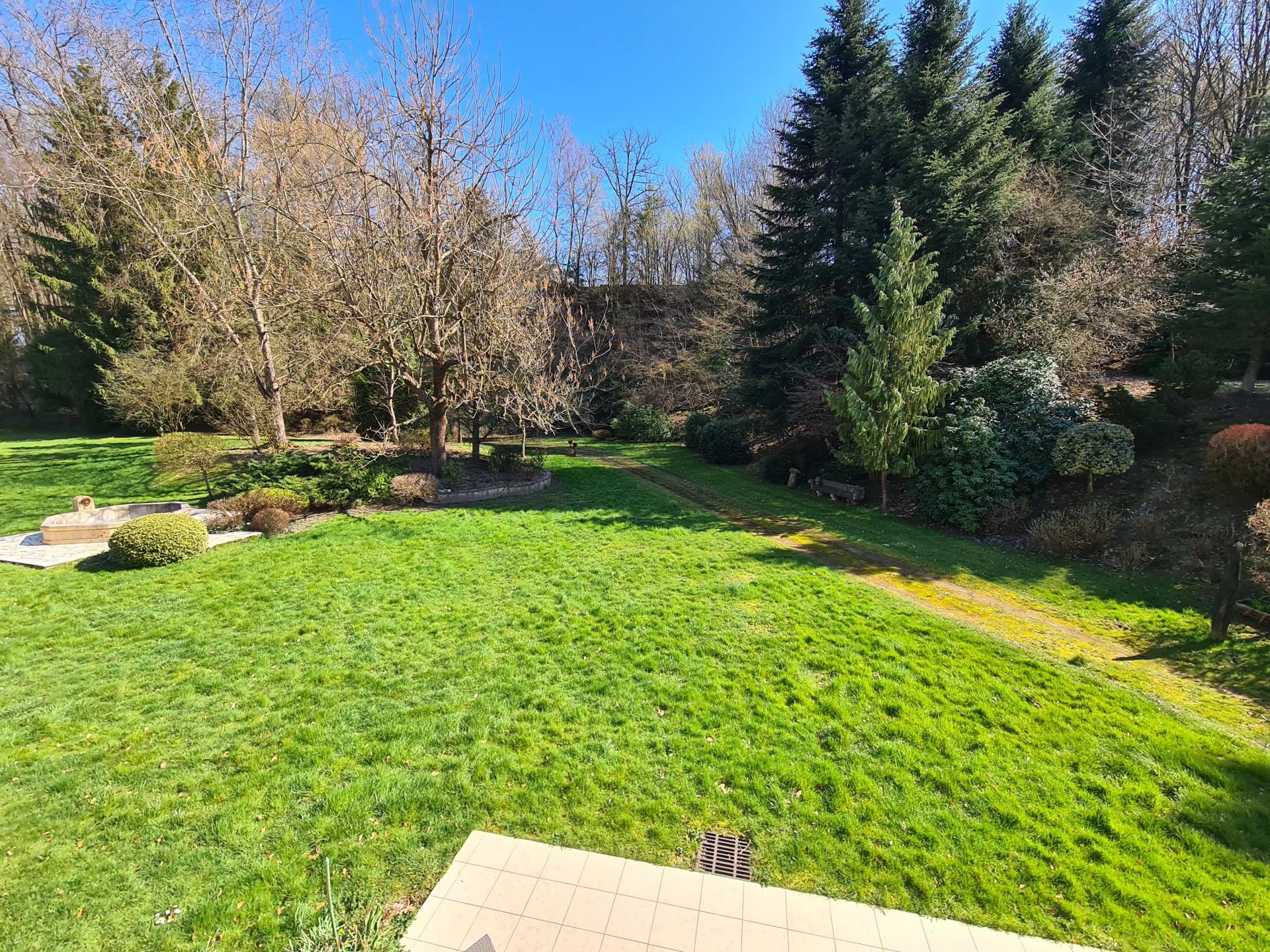 Photo 21 de l'annonce.