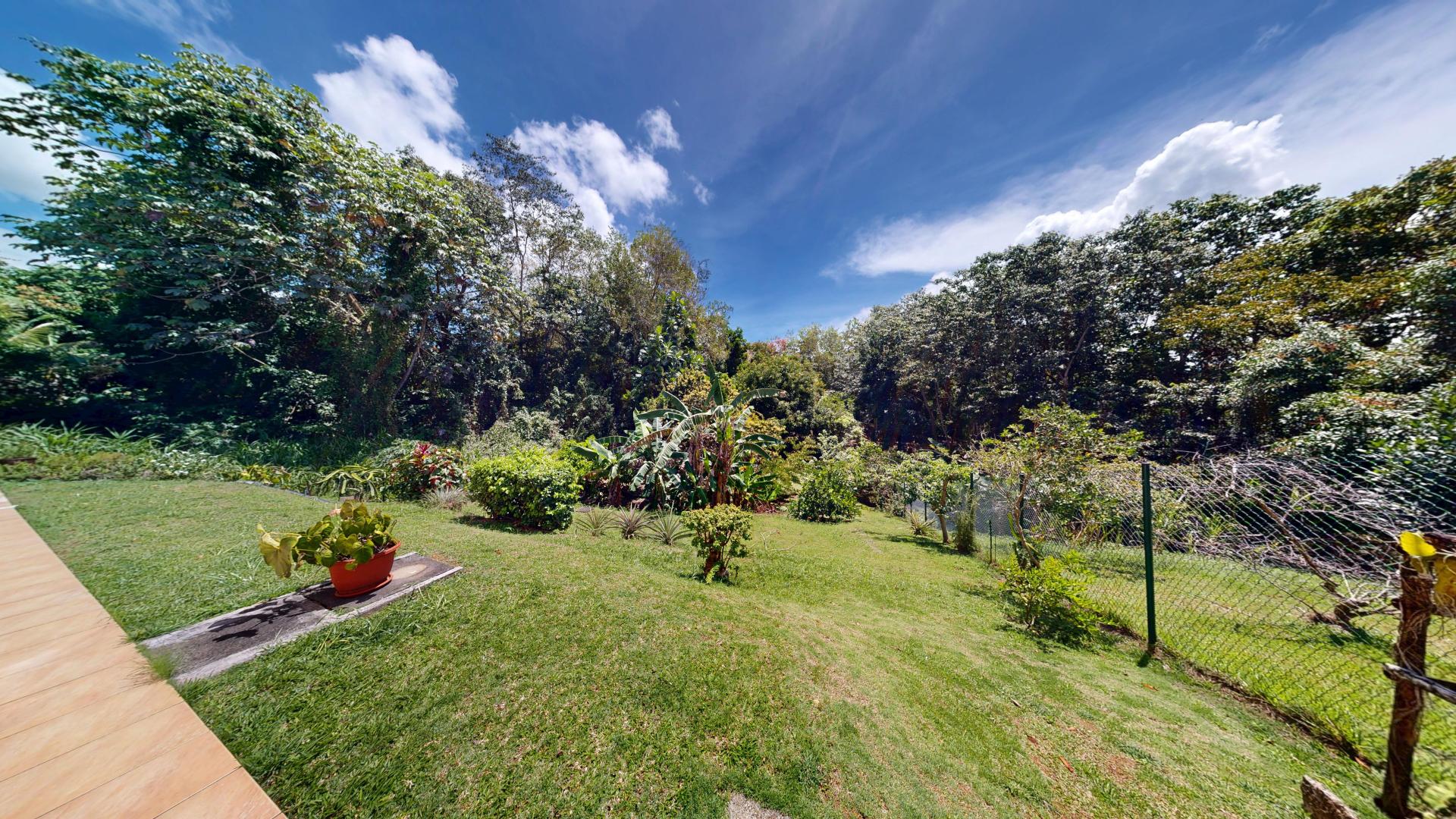 Photo 7 de l'annonce.