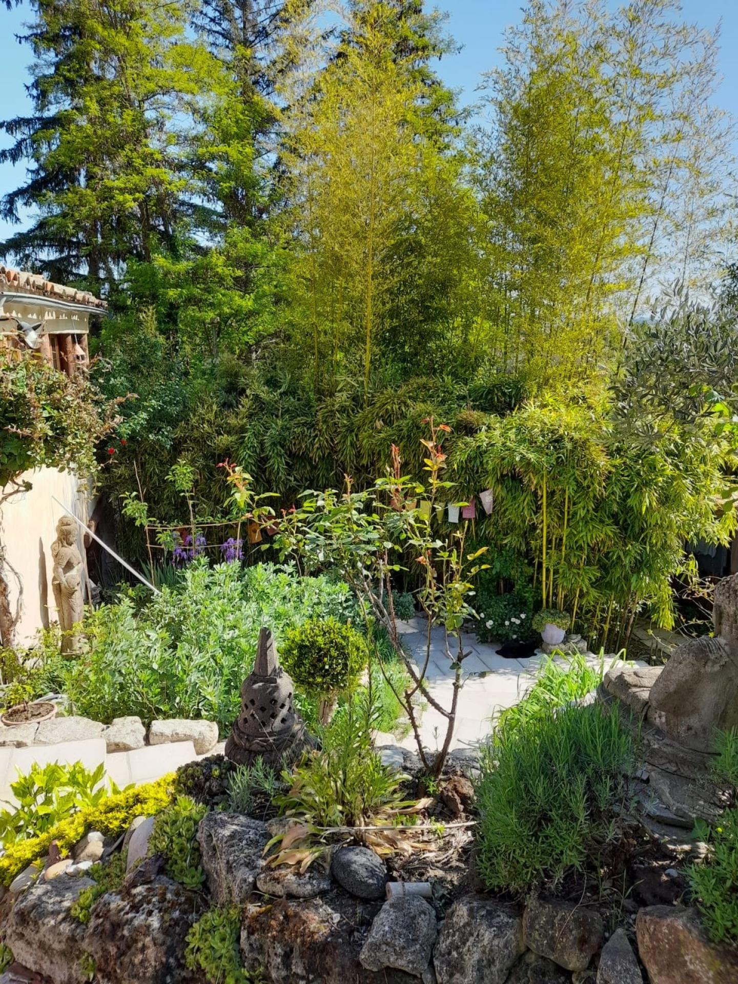 Photo 2 de l'annonce.