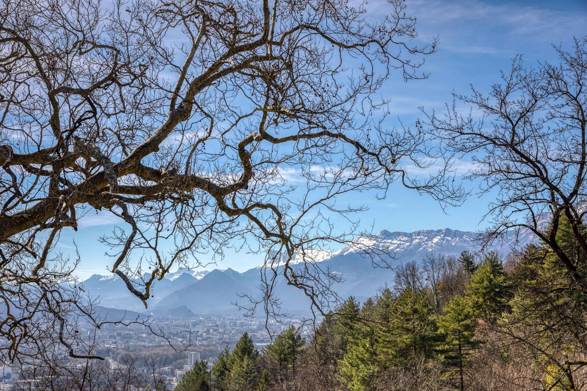 Photo 19 de l'annonce.