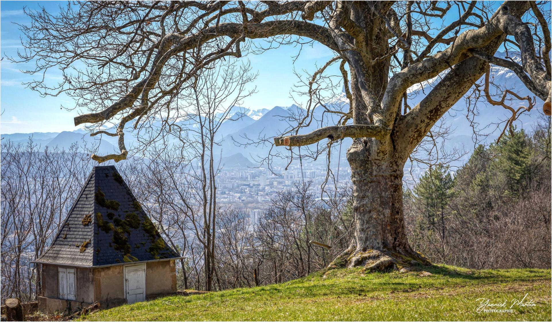 Photo 18 de l'annonce.