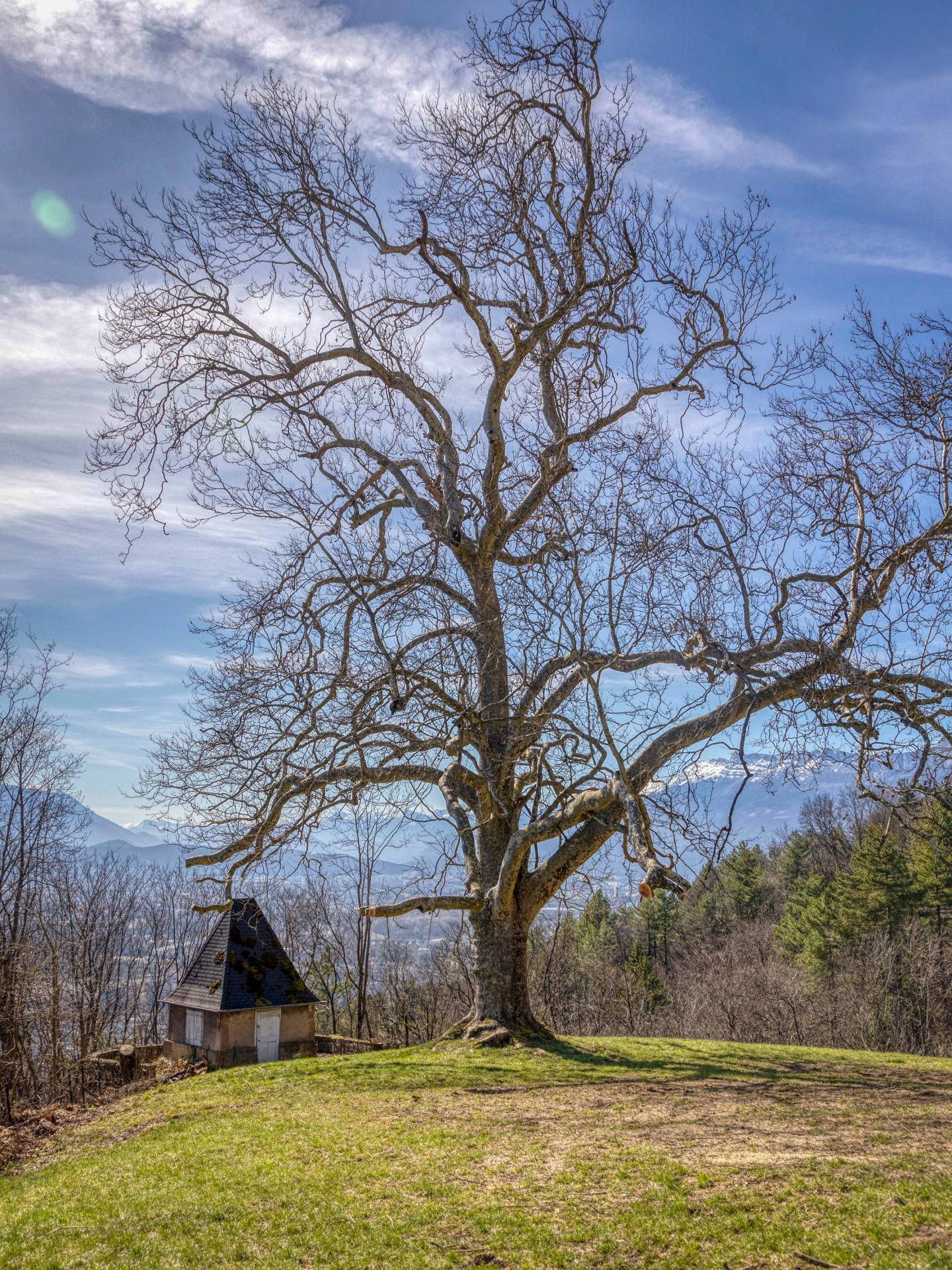 Photo 3 de l'annonce.