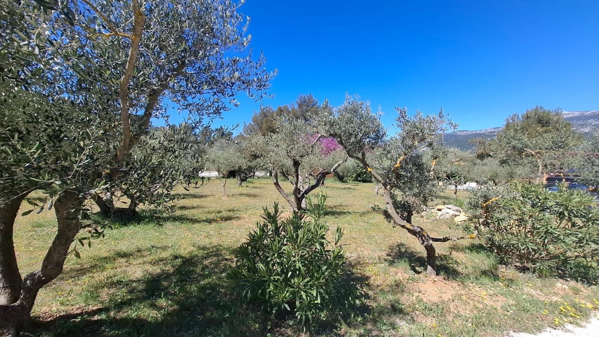 Photo 8 de l'annonce.