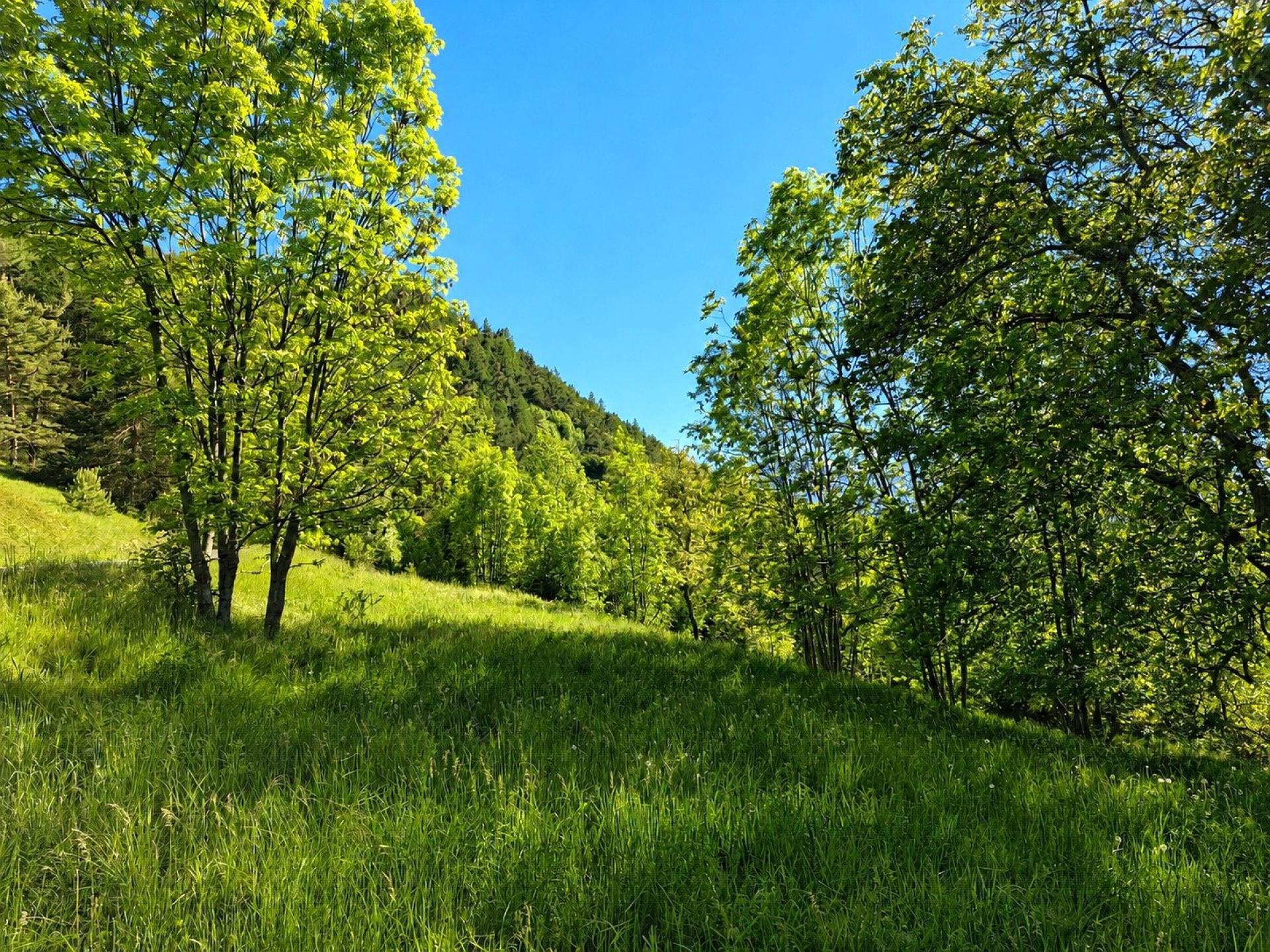 Photo-terrain
