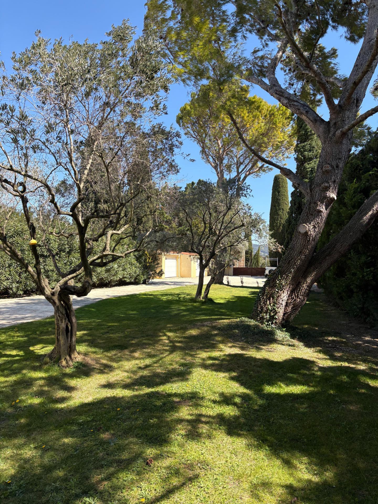 Photo 6 de l'annonce.