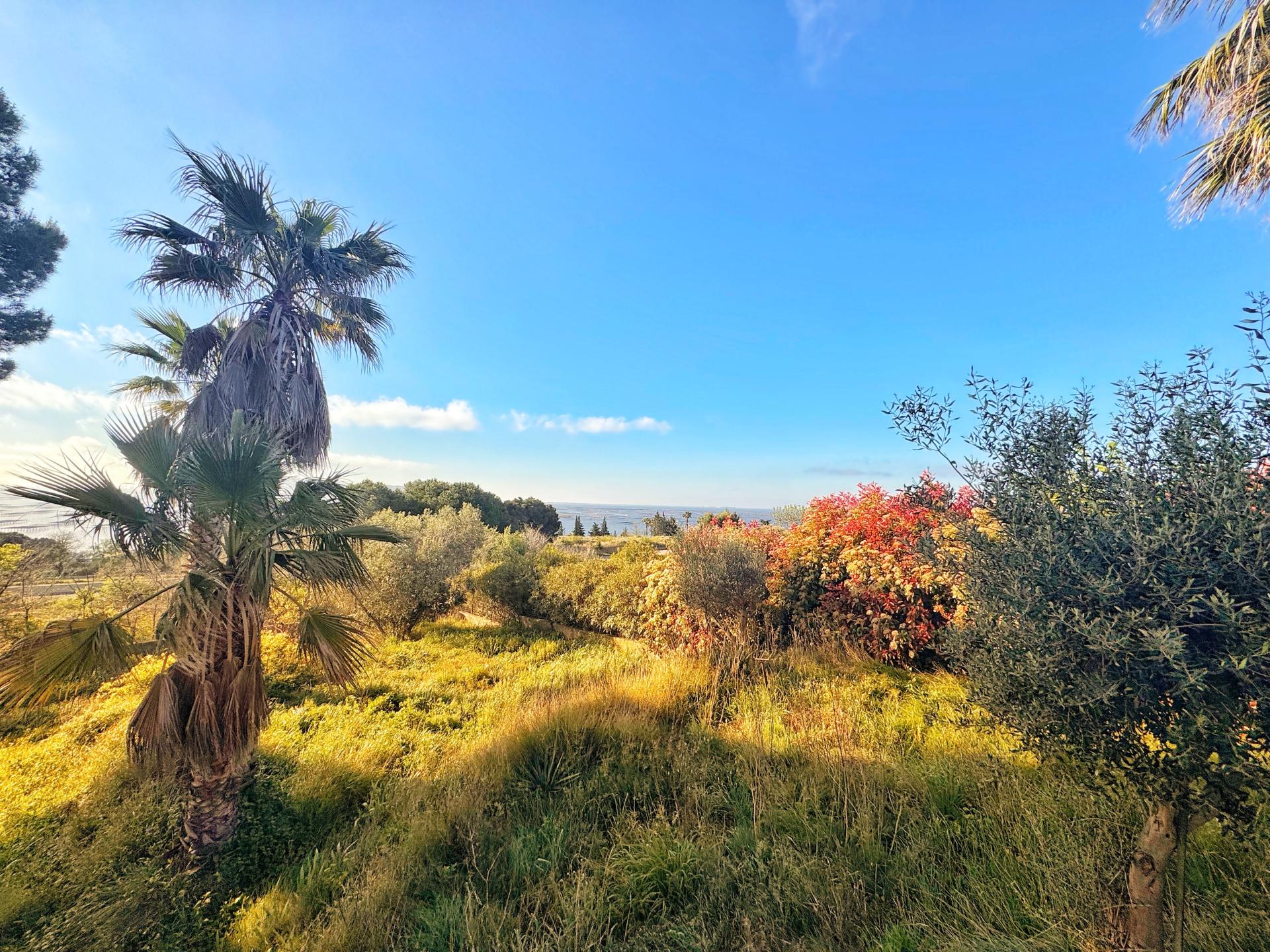 Photo 2 of the listing.