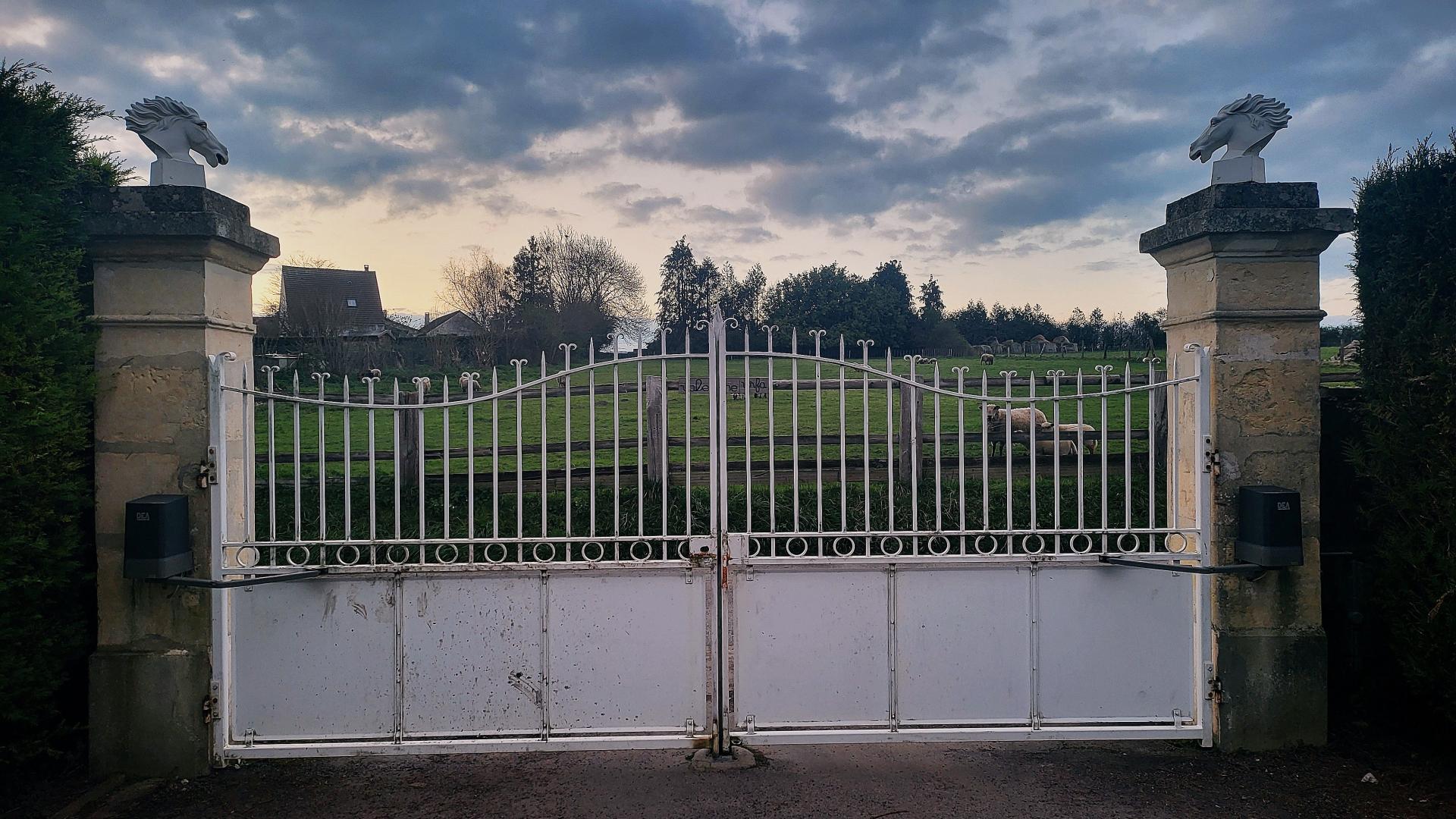 Photo 10 of the listing.