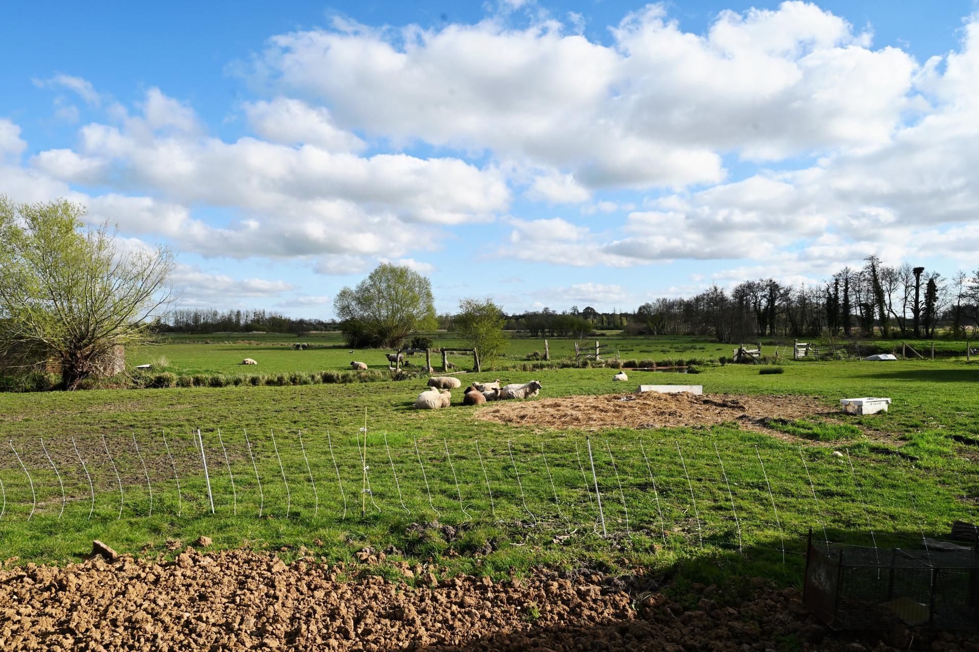 Photo 35 of the listing.