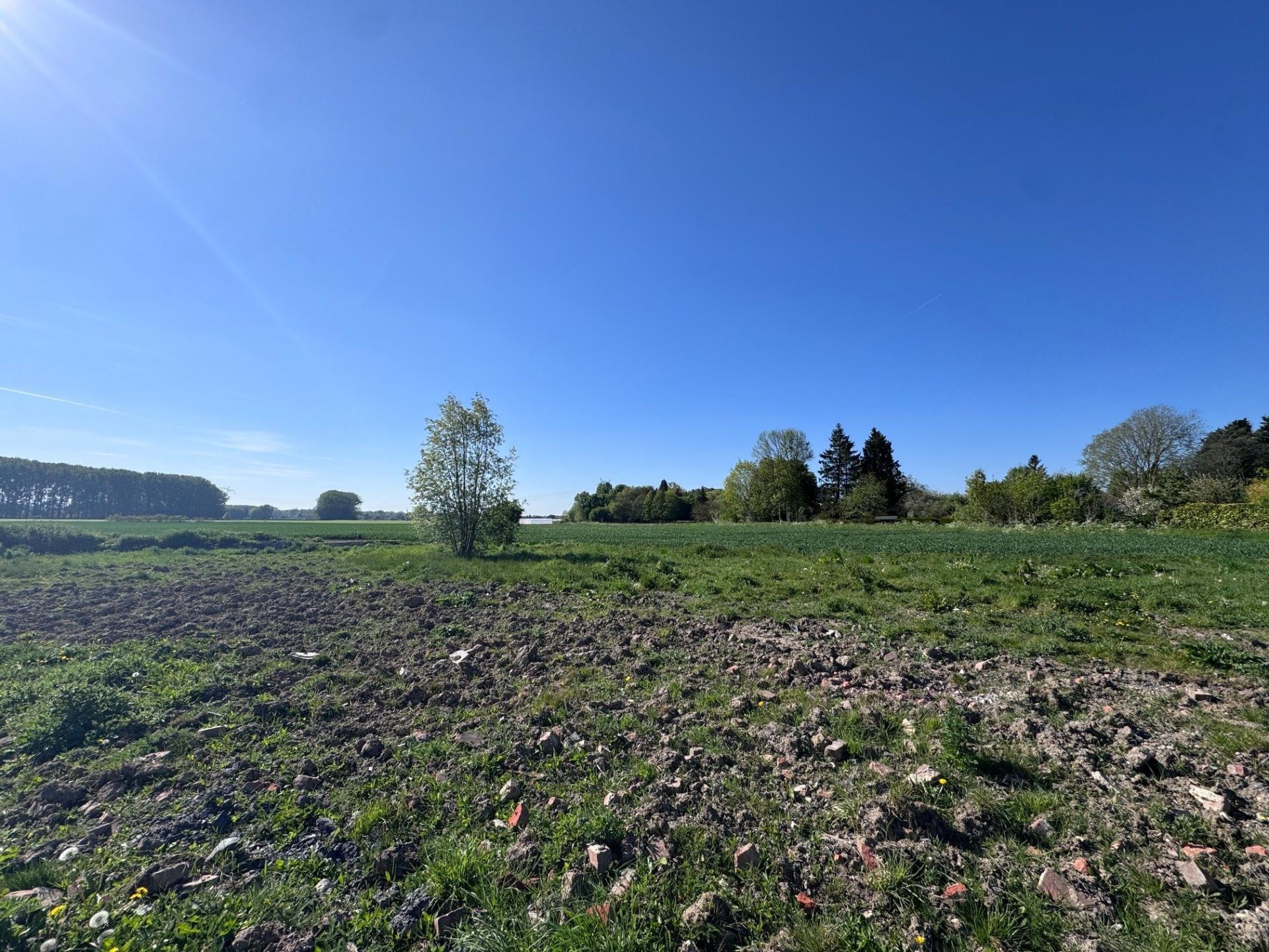 Photo-terrain