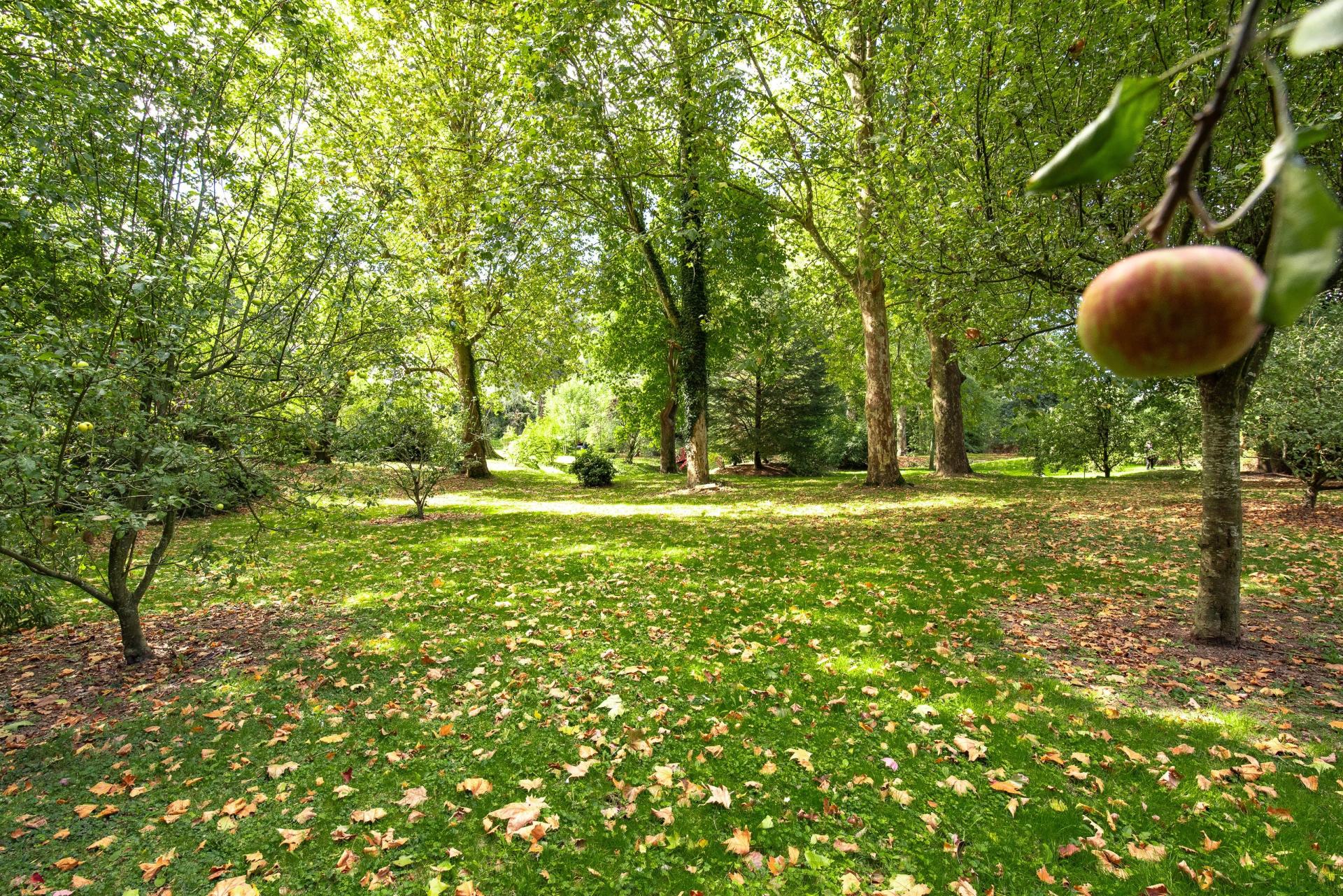 Photo 5 de l'annonce.