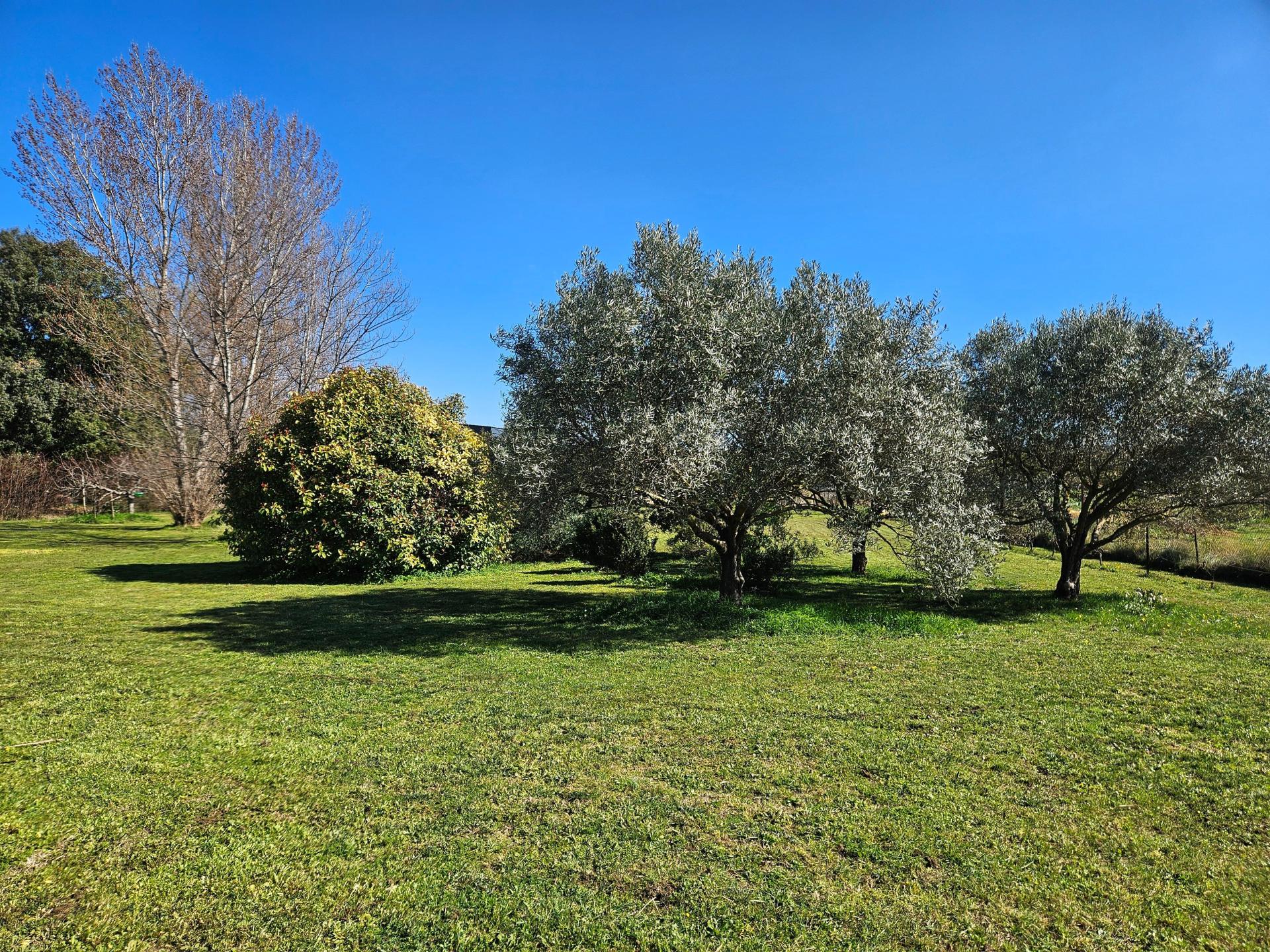 Photo 2 de l'annonce.