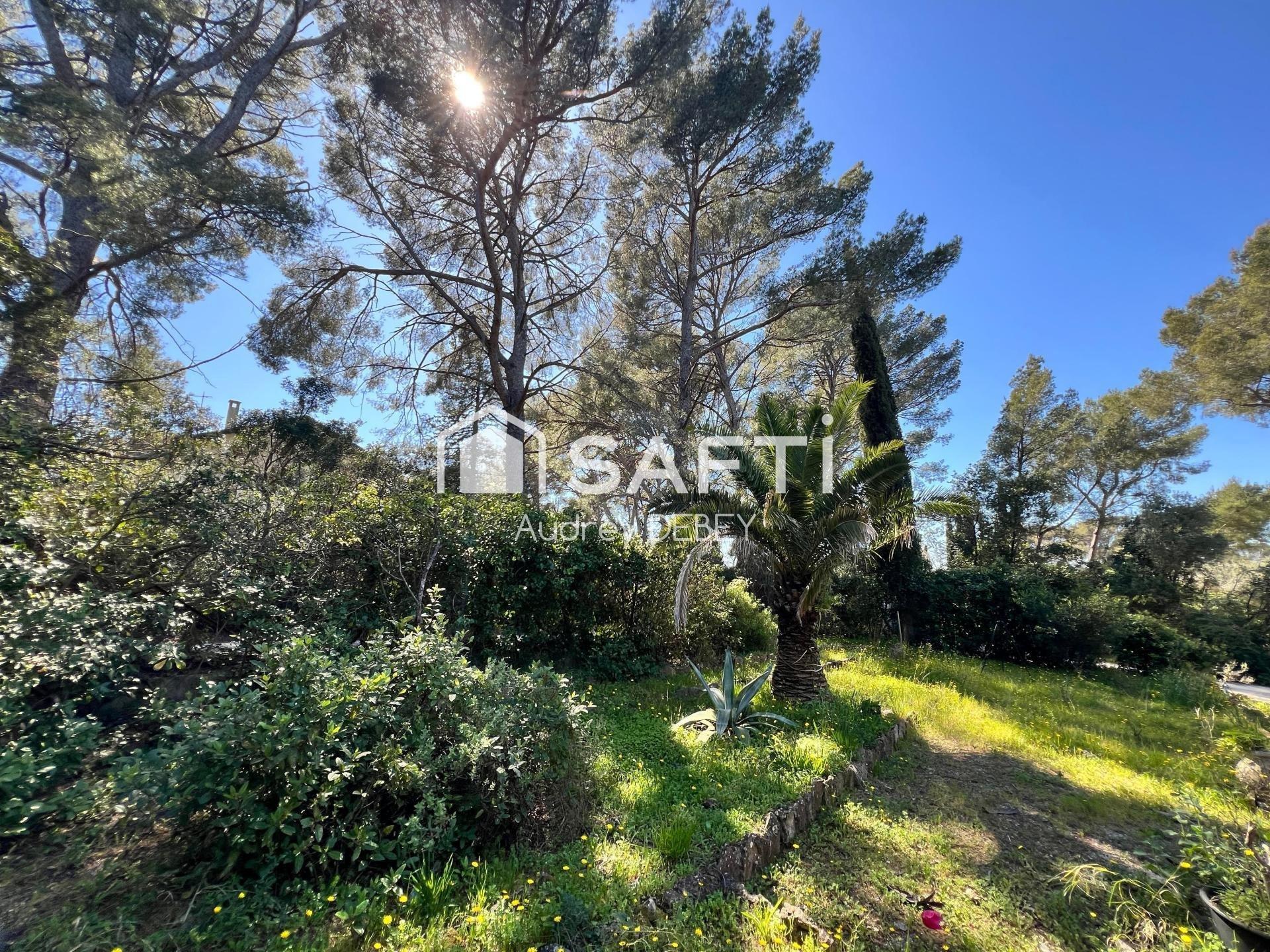 Photo 2 de l'annonce.