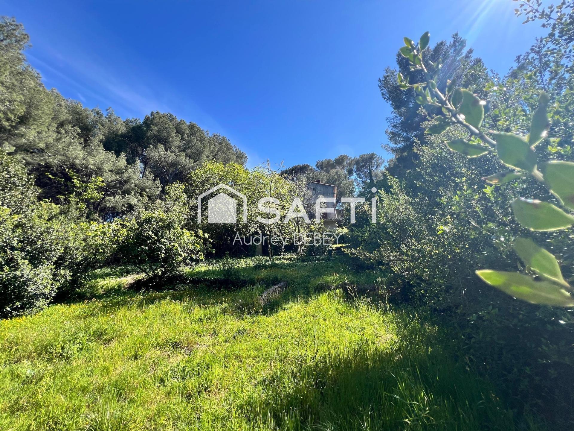 Photo 4 de l'annonce.