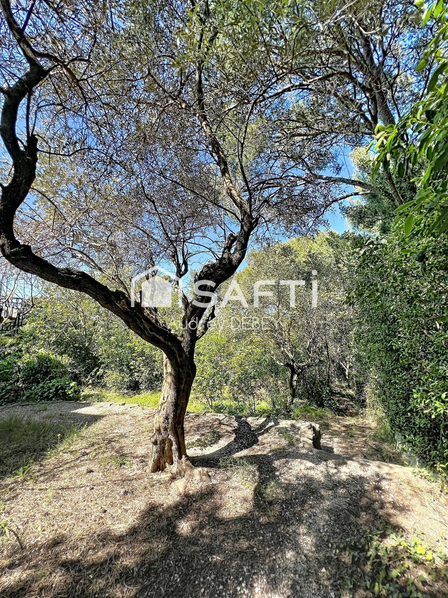 Photo 3 de l'annonce.