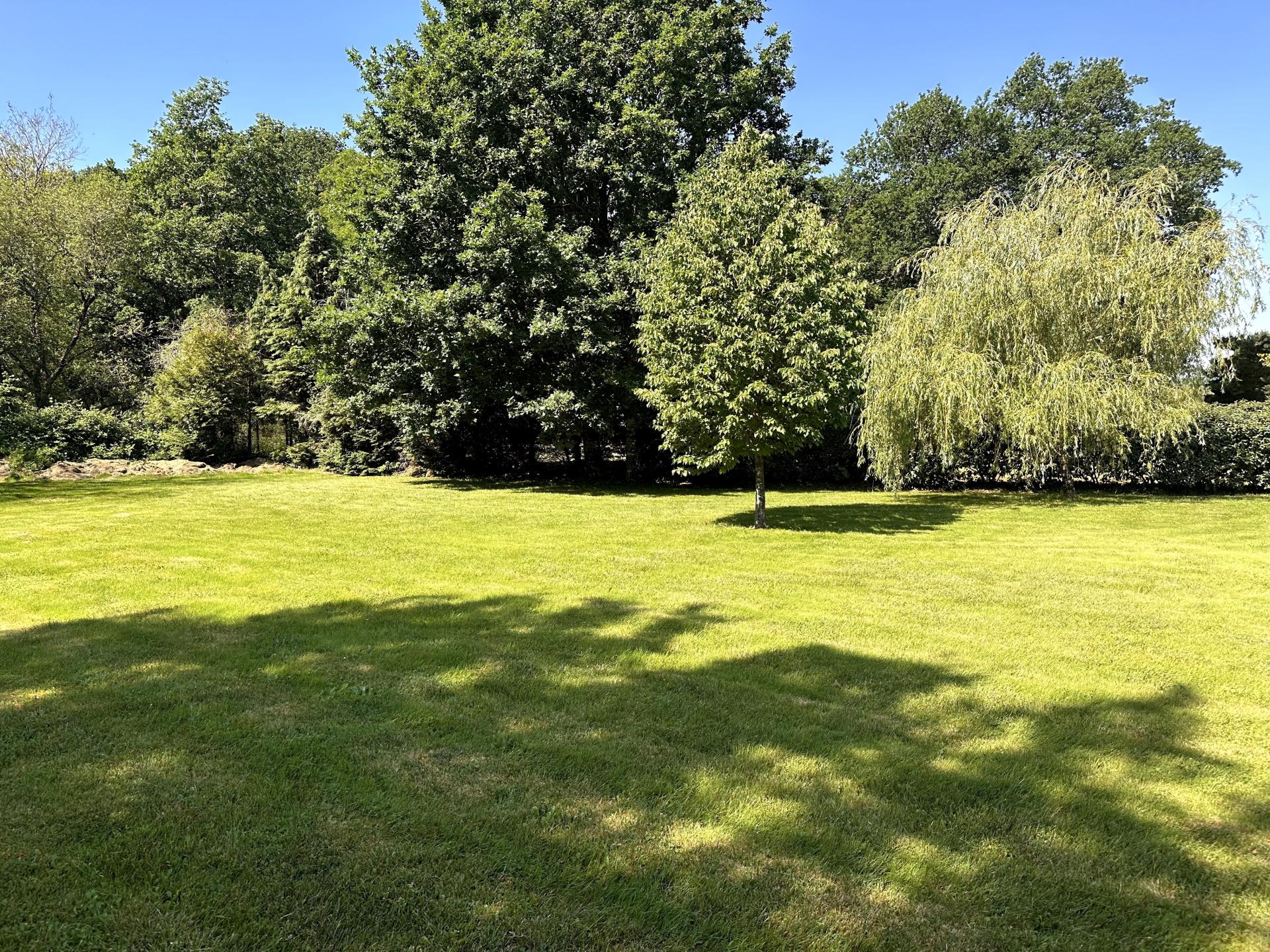 Photo-terrain