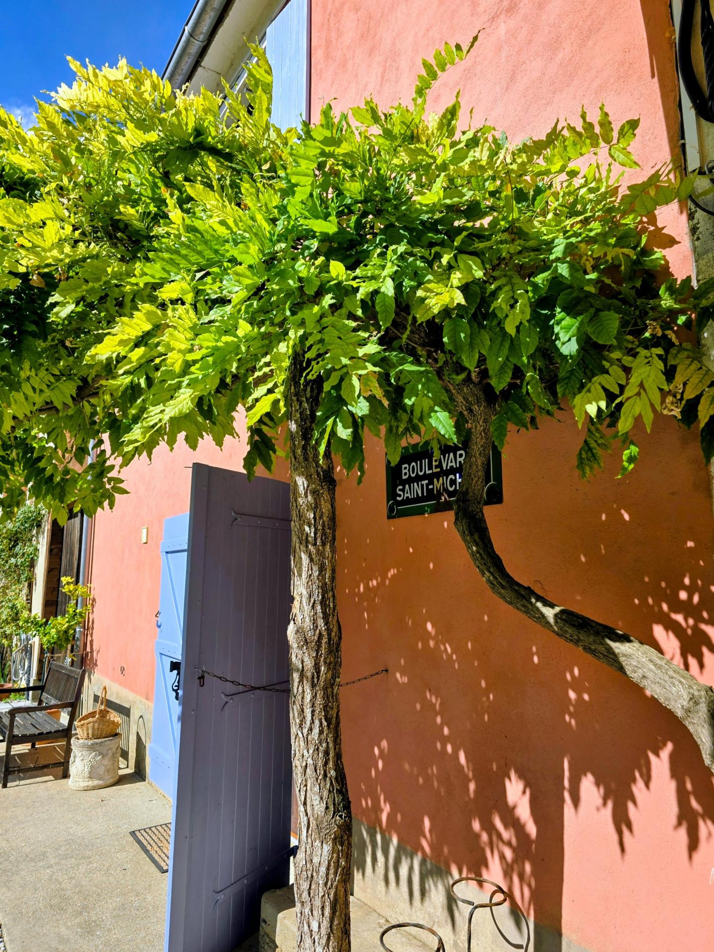 Photo 10 de l'annonce.