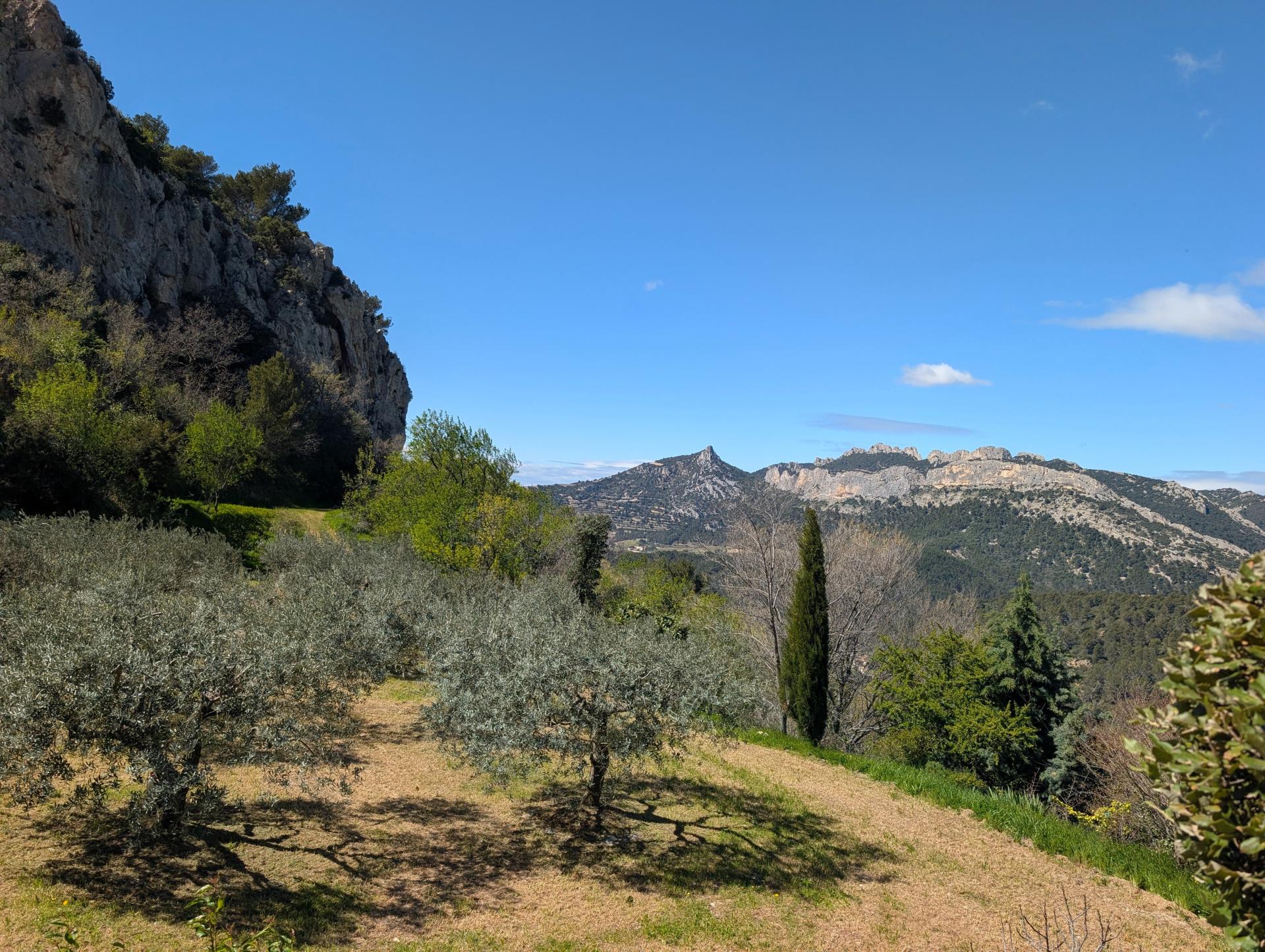 Photo 16 de l'annonce.