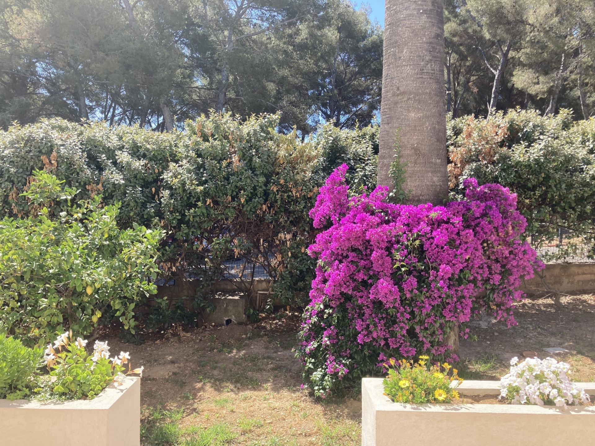 Photo 2 de l'annonce.