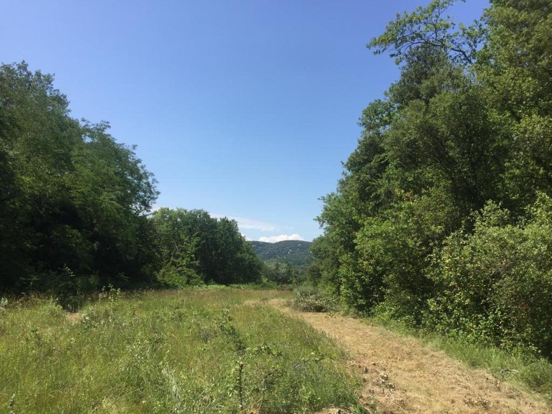 Photo 9 de l'annonce.