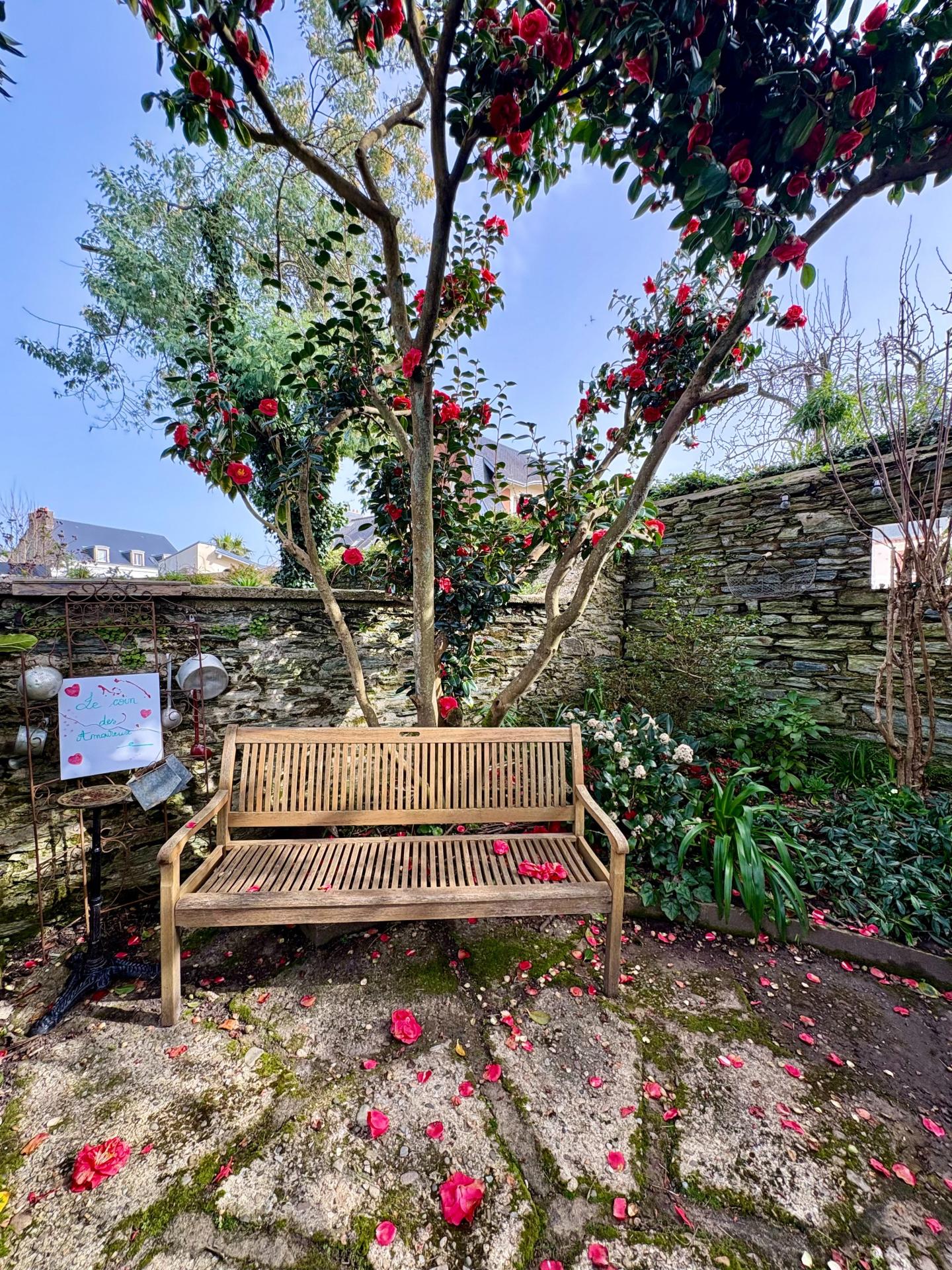 Photo 18 de l'annonce.