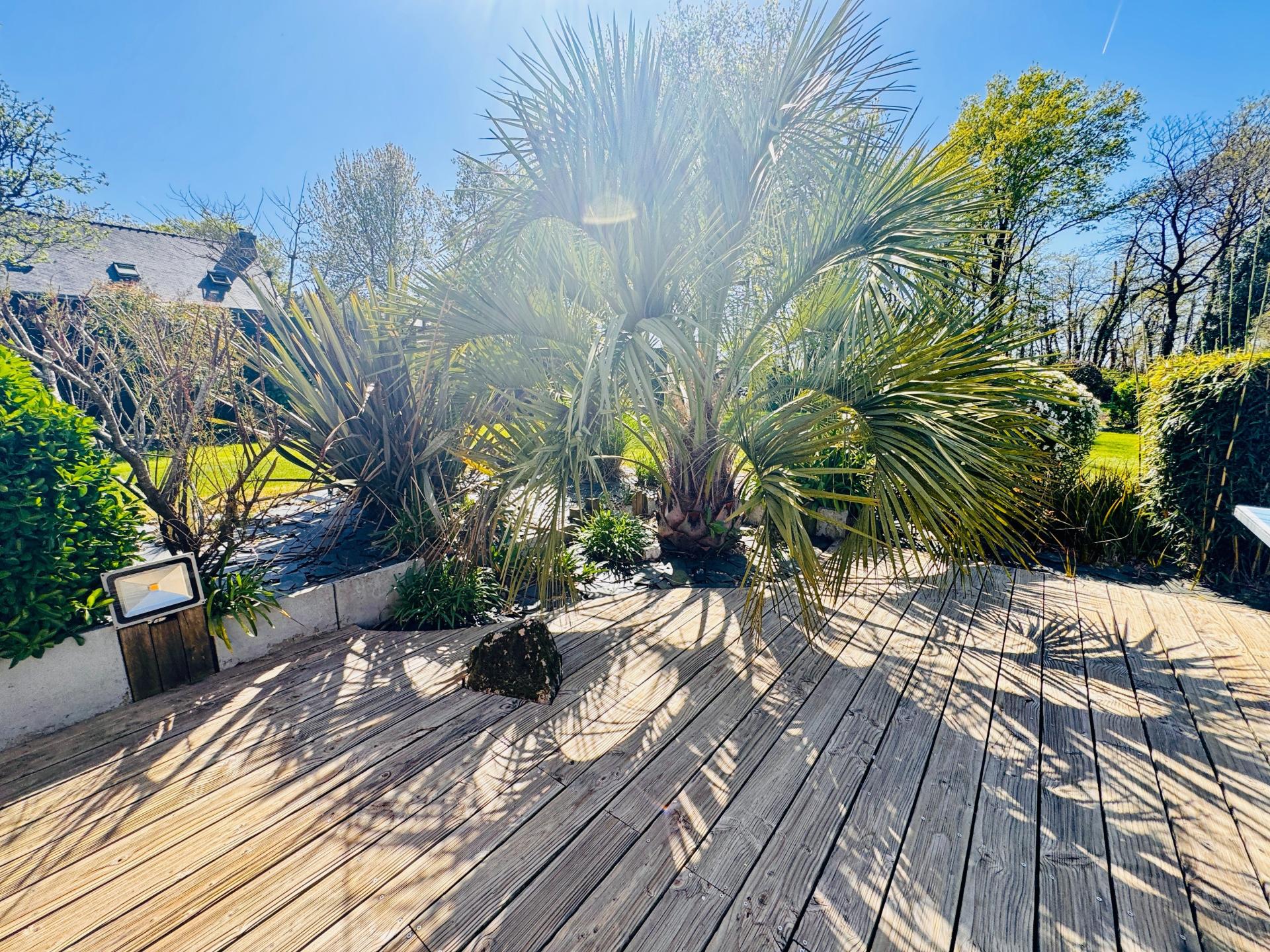 Photo 11 of the listing.