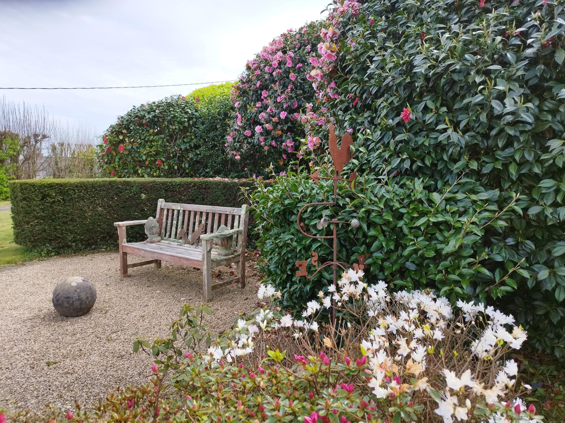 Photo 10 of the listing.