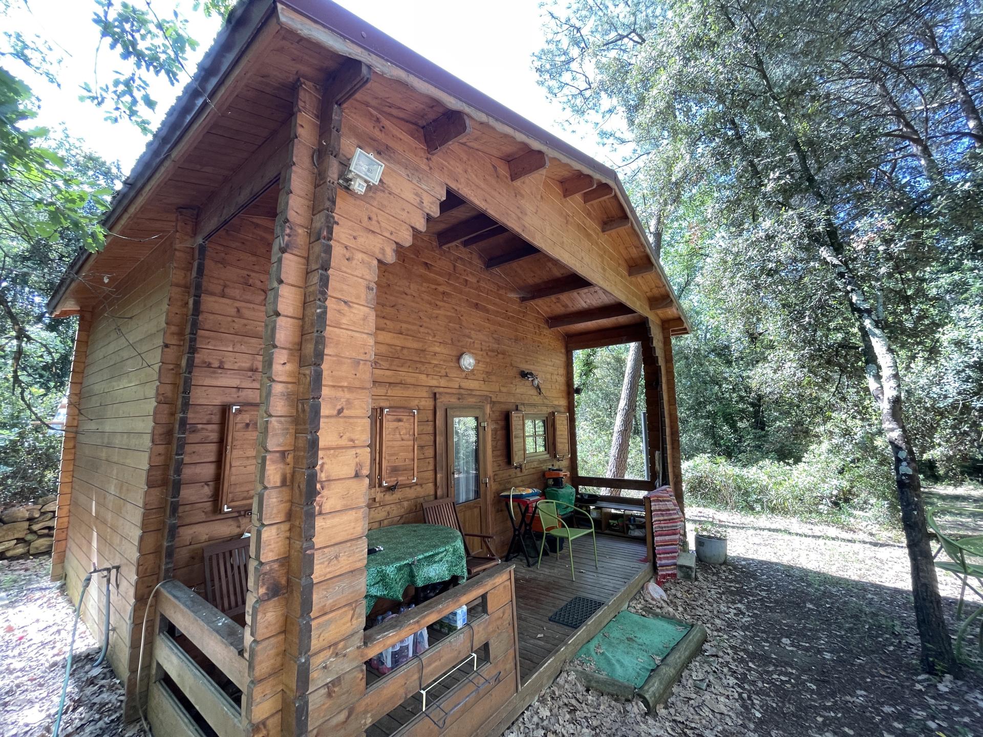 Foto 11 del anuncio.