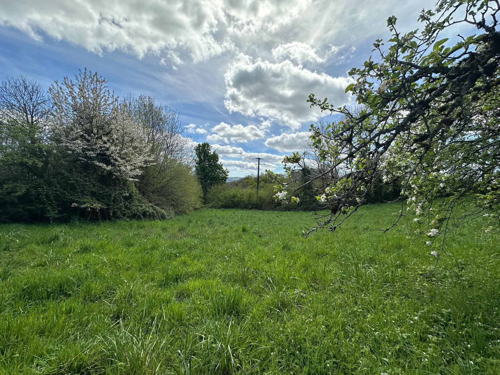 Photo-terrain