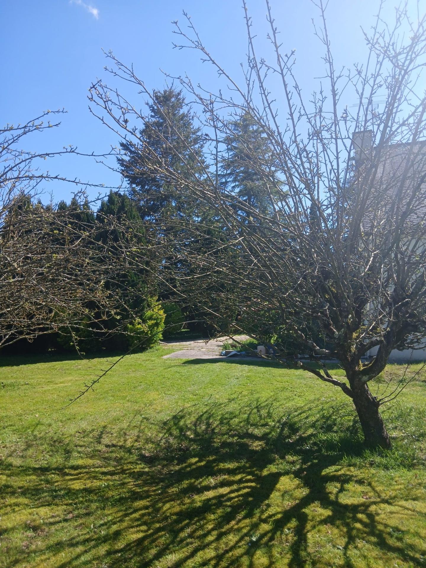 Photo 3 de l'annonce.